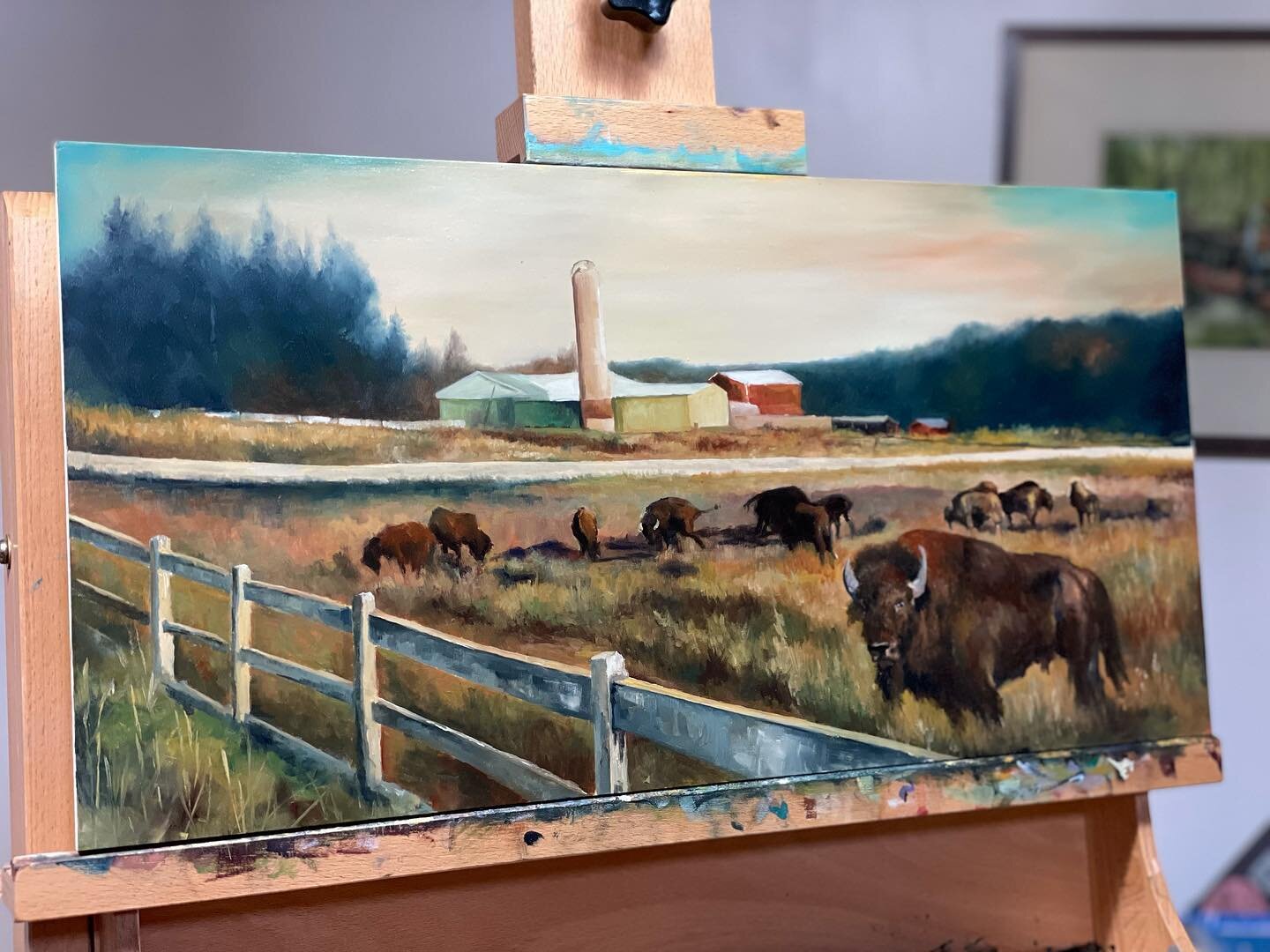Got a little birthday painting in today! Spent the morning reliving my excitement to drive past the buffalo farm. It was one of my favorite sites as a kid. Who knows if it was beacuse of the awesome strength and beauty of those majestic animals. My l