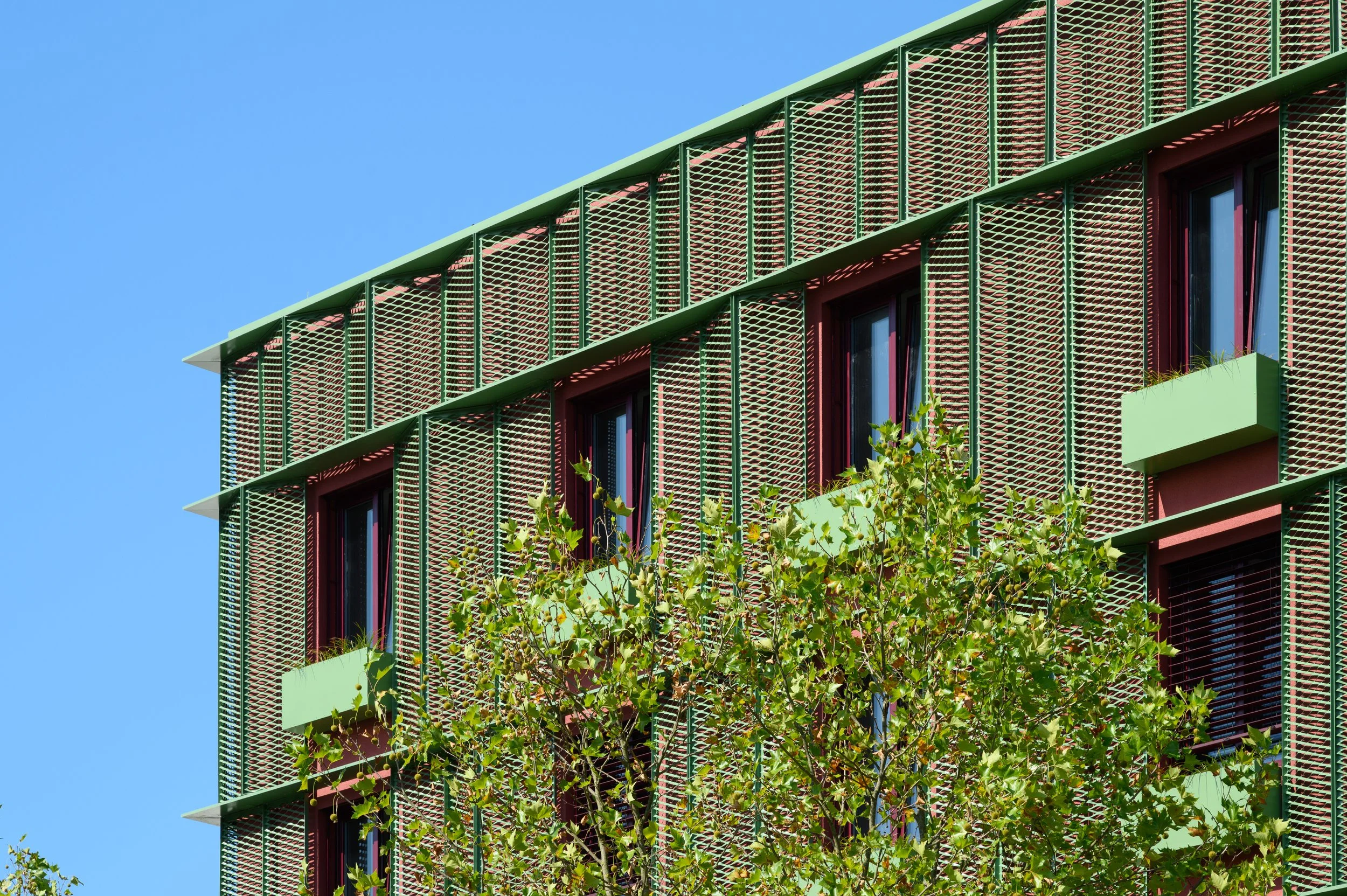 _KAM5427-2608.jpg