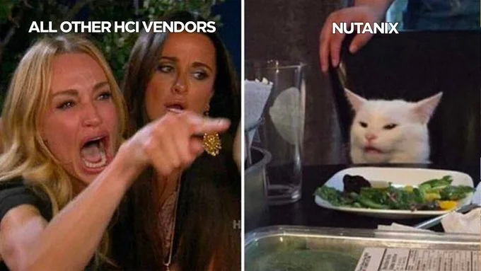 1911_CatMeme_CT.jpeg