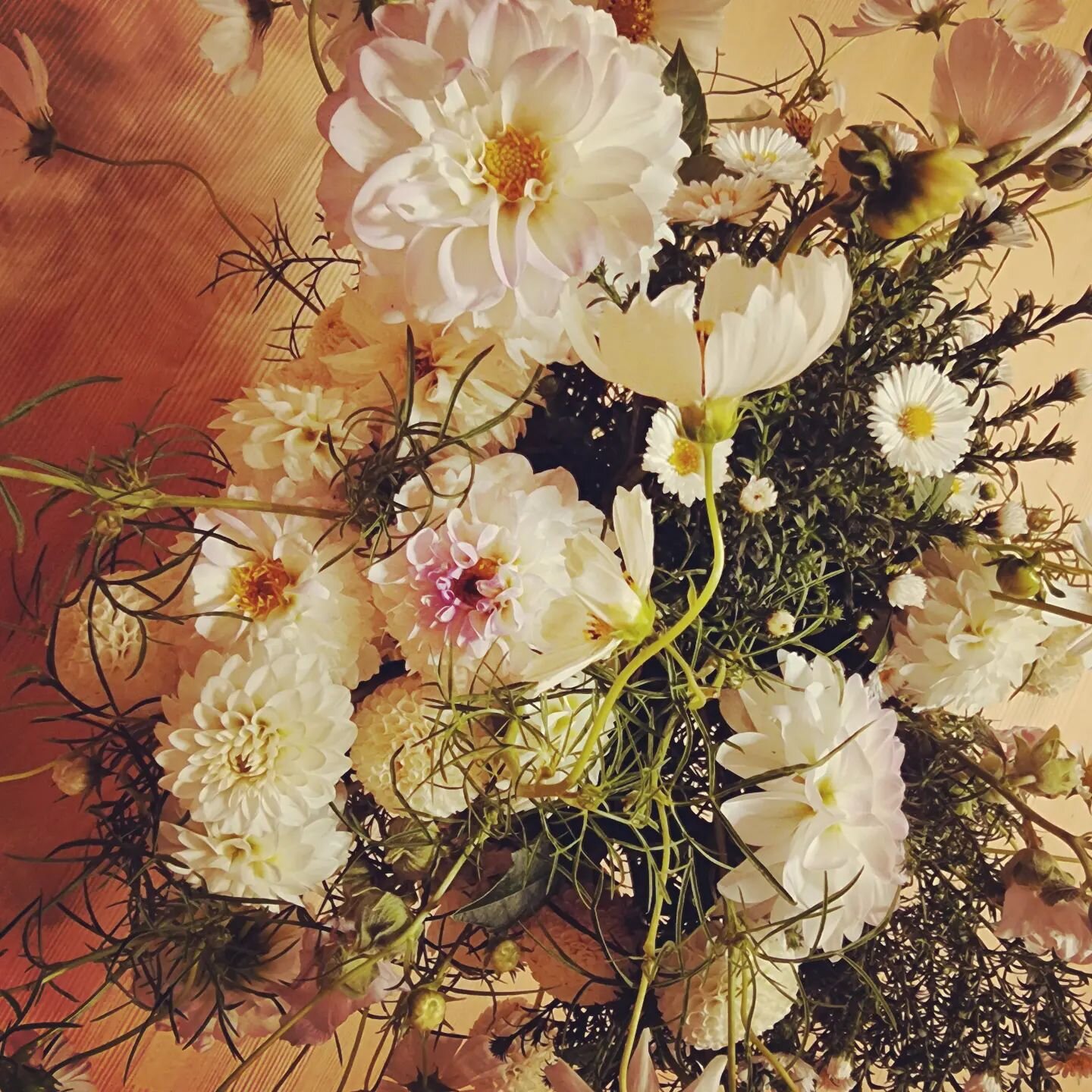 Sommerblumen von @daniela.vigne.1232 #InspireYourLife