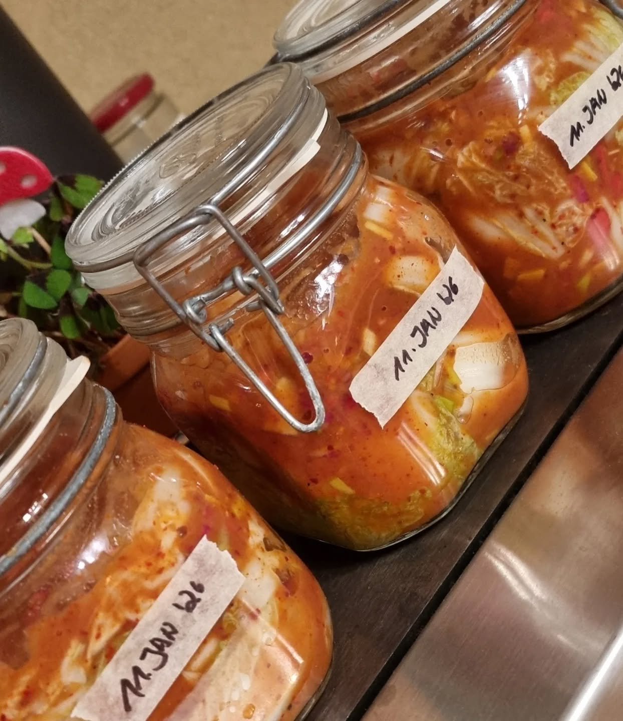 Chinakohl Zeit ist #Kimchi Zeit. #InspireYourKitchen