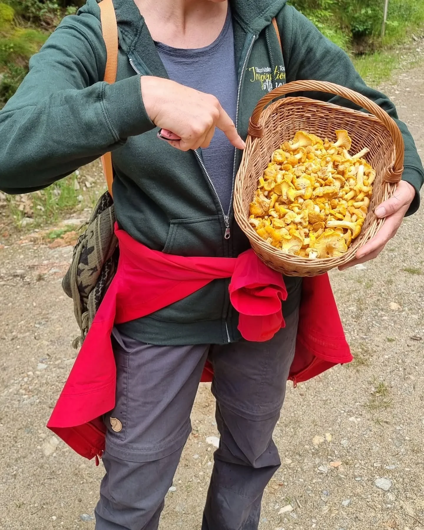 Die Eierschwammerl Saison hat gestartet. #InspireYourKitchen