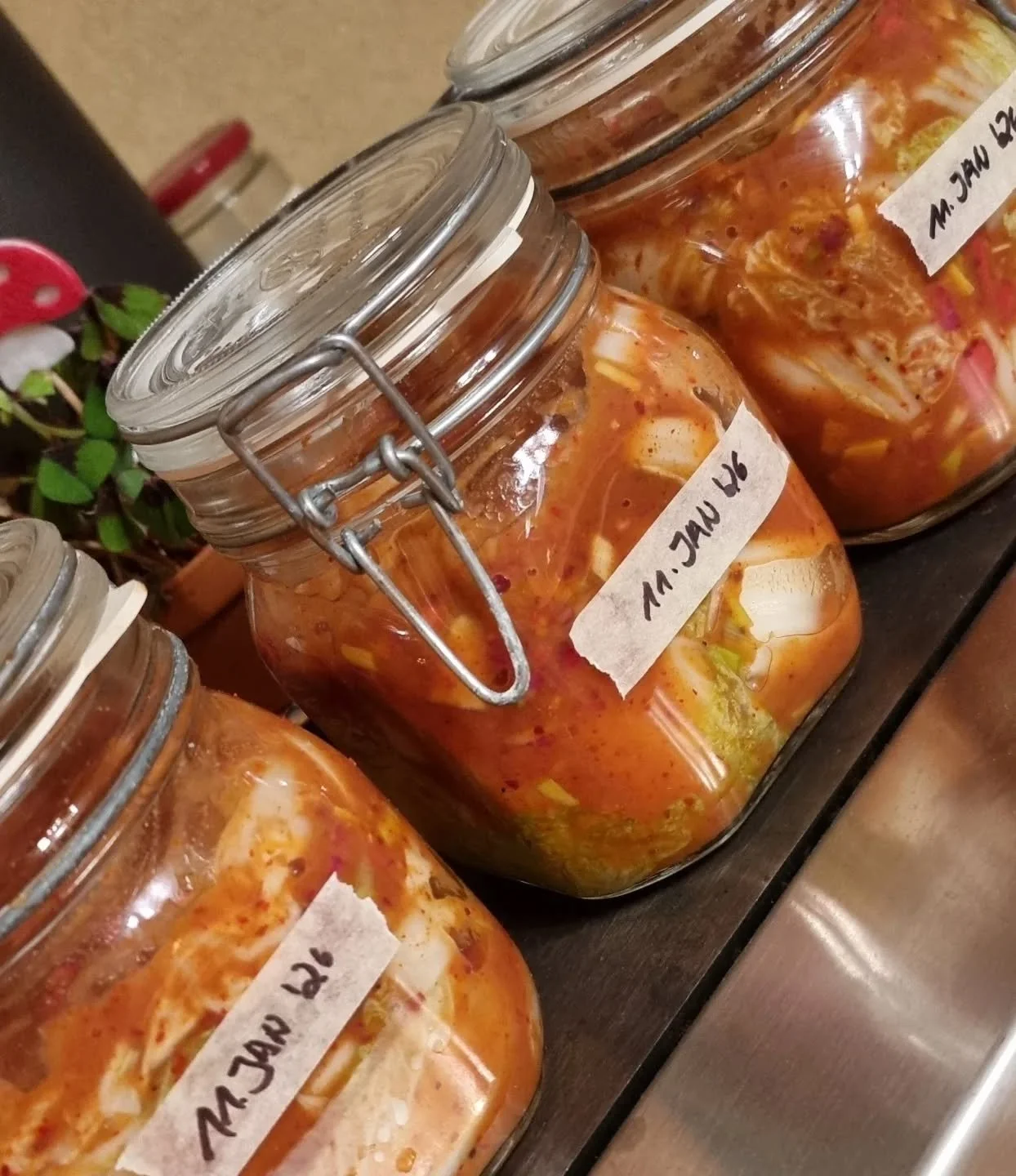 Chinakohl Zeit ist #Kimchi Zeit. #InspireYourKitchen