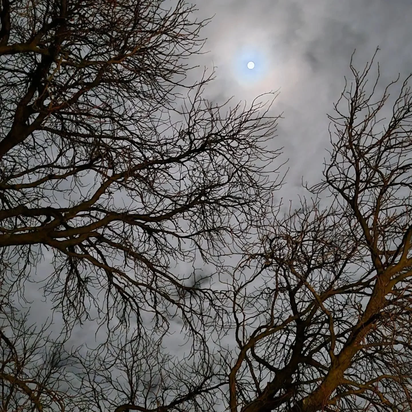 #ZenFasten @klosterpernegg mit Vollmond, Meditation, K&auml;ltererfahrungen, Stille, Lagerfeuer und weeeeeiten Spazierg&auml;ngen. Ein totales Reset am Weg zu Dir ✨️

Tipp: Vom Fasten zur Wesensschau mit Benjamin Ananda Gru&szlig;mann, das n&auml;chs