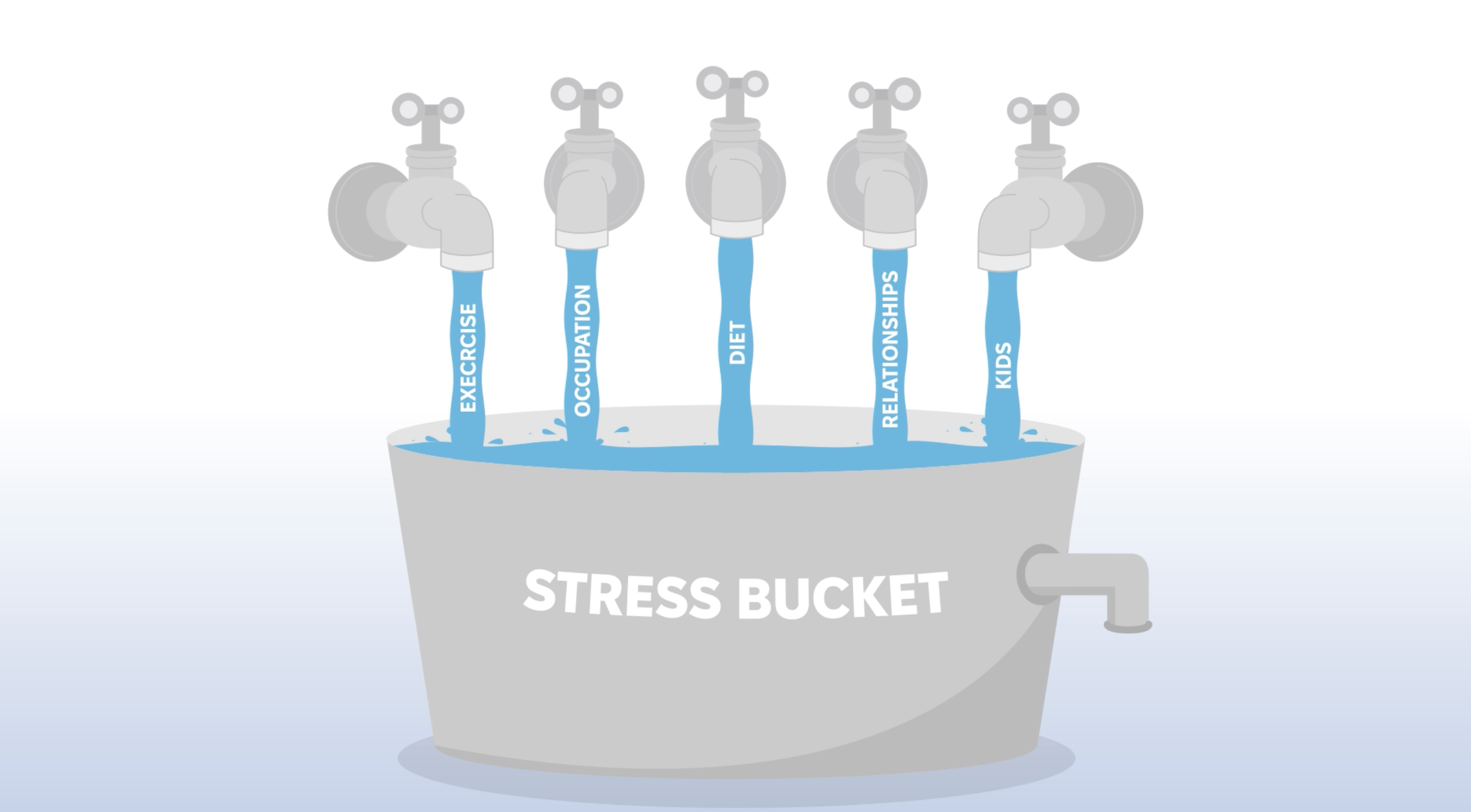 The Stress Bucket