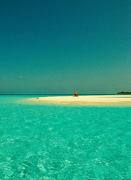 Go green_Naifaru_IMG_6579.jpg