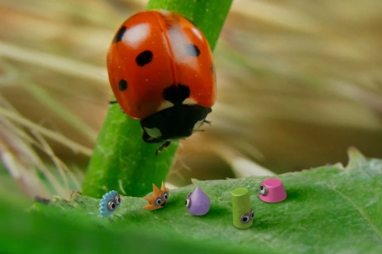 TinyWonders_S05_E08_EPSTILL_NogglinsAndLadybird_CBIO757N_01.jpg