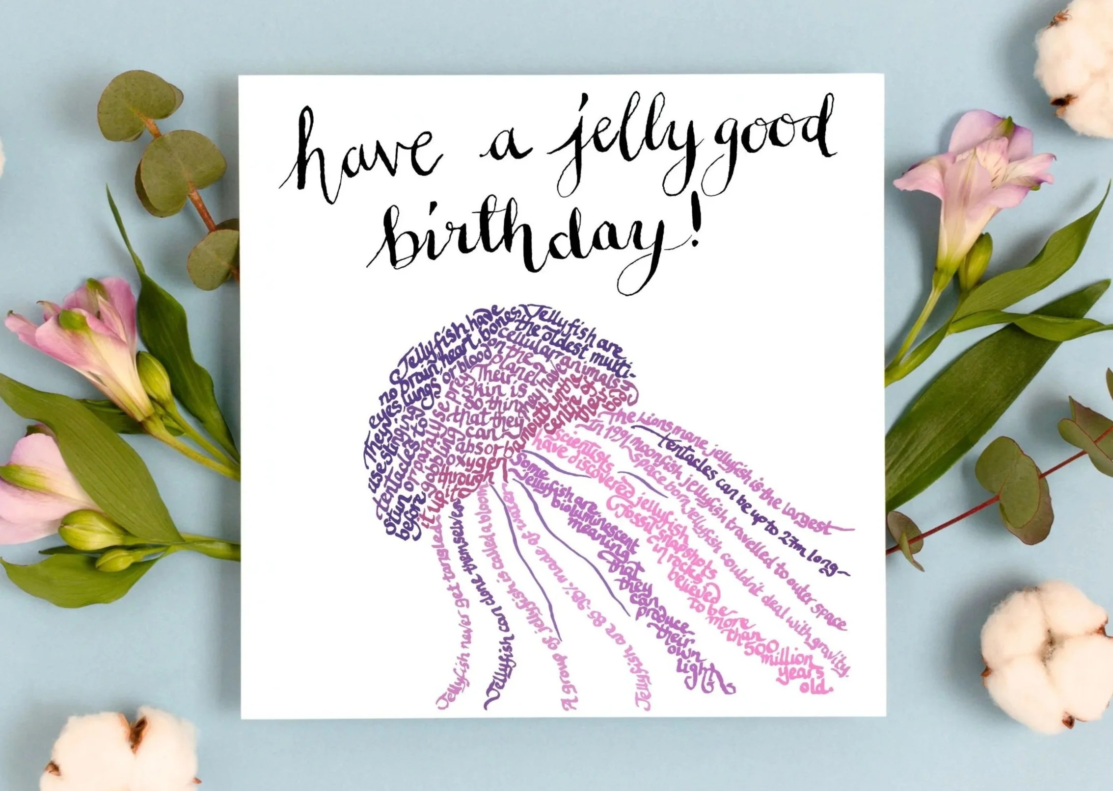 jellyfish.jpg