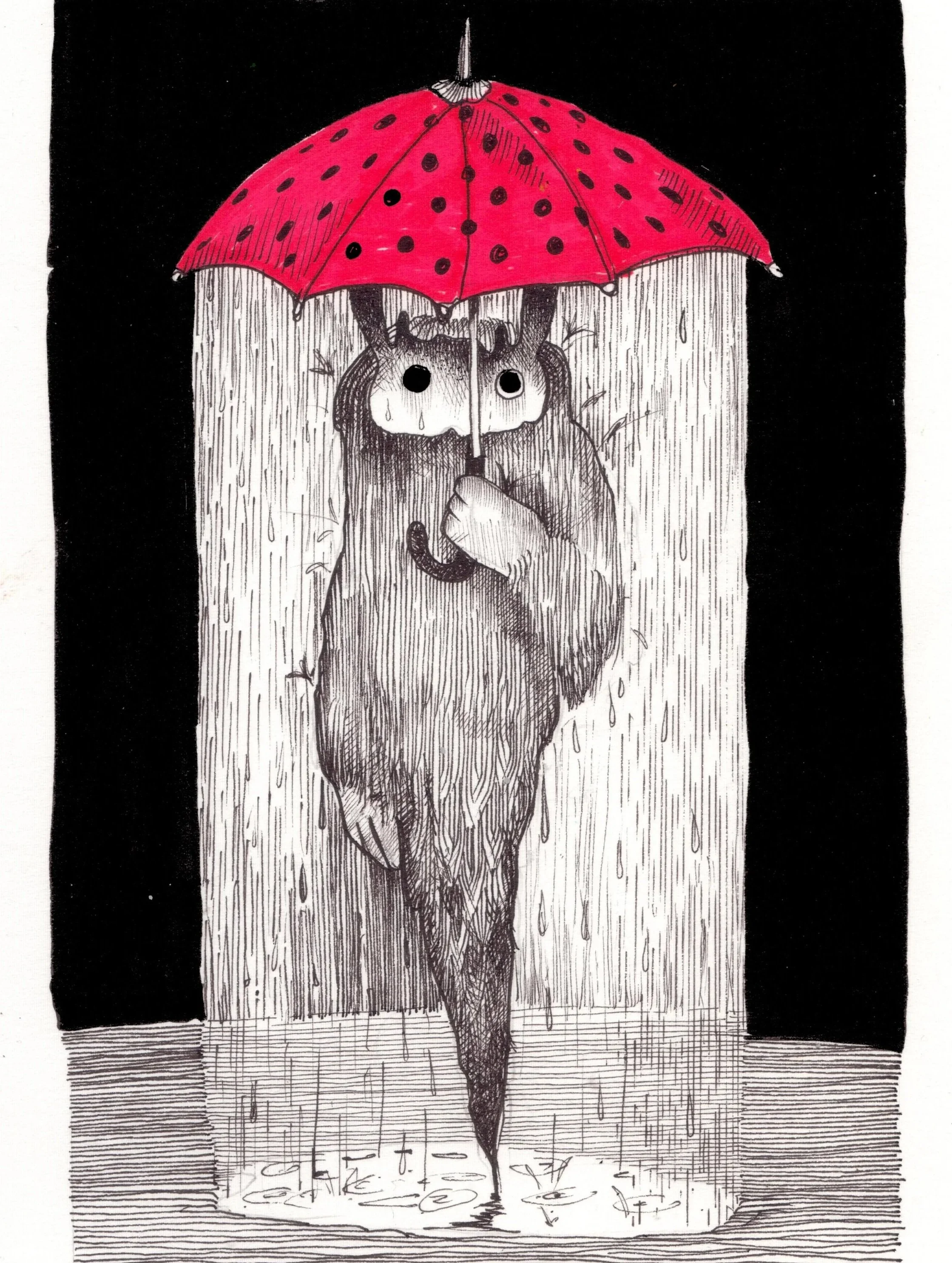 Rain+shade%27s+new+umbrella.jpg