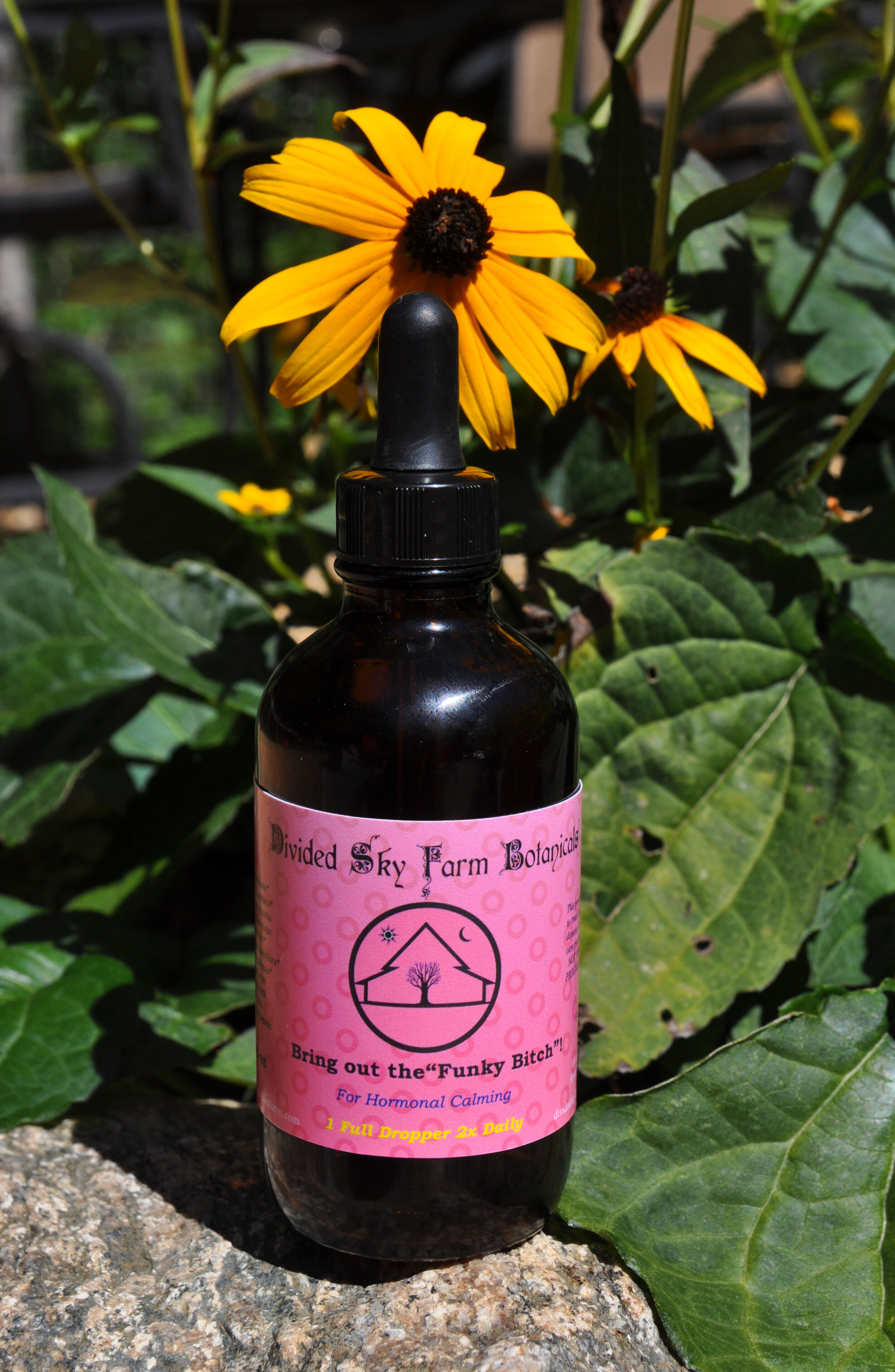 Bring Out The Funky Bitch