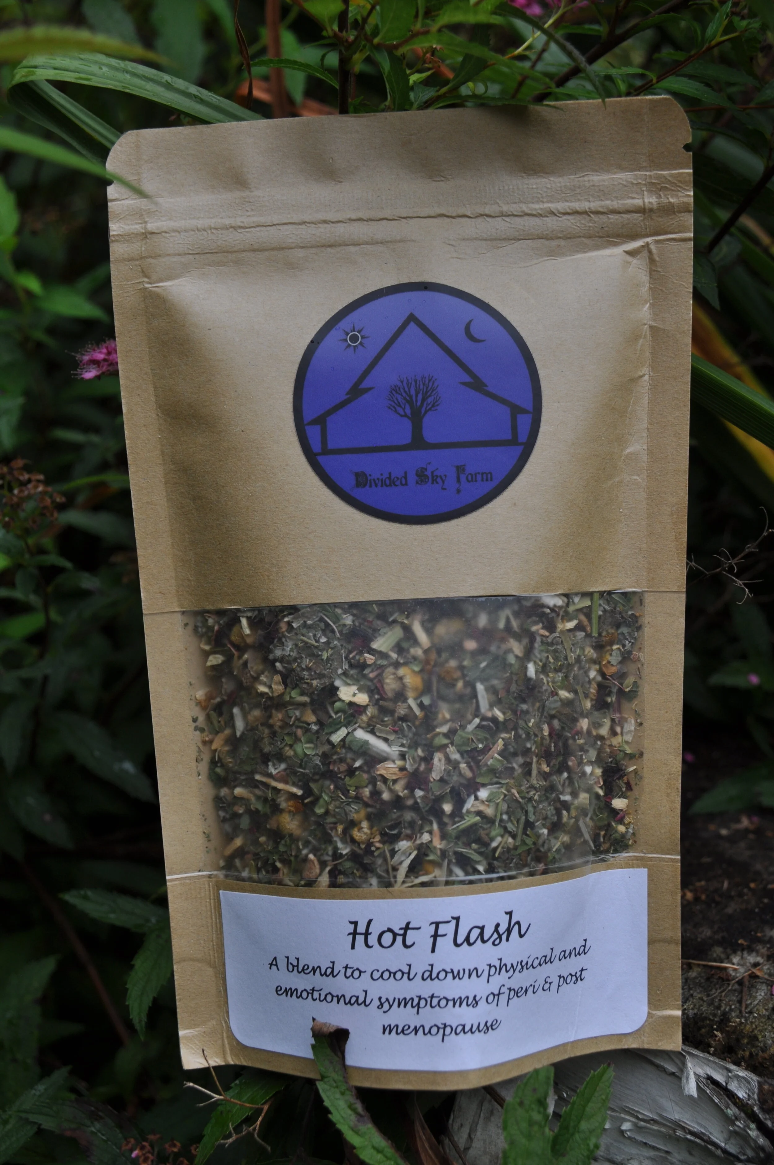 Hot Flash.JPG