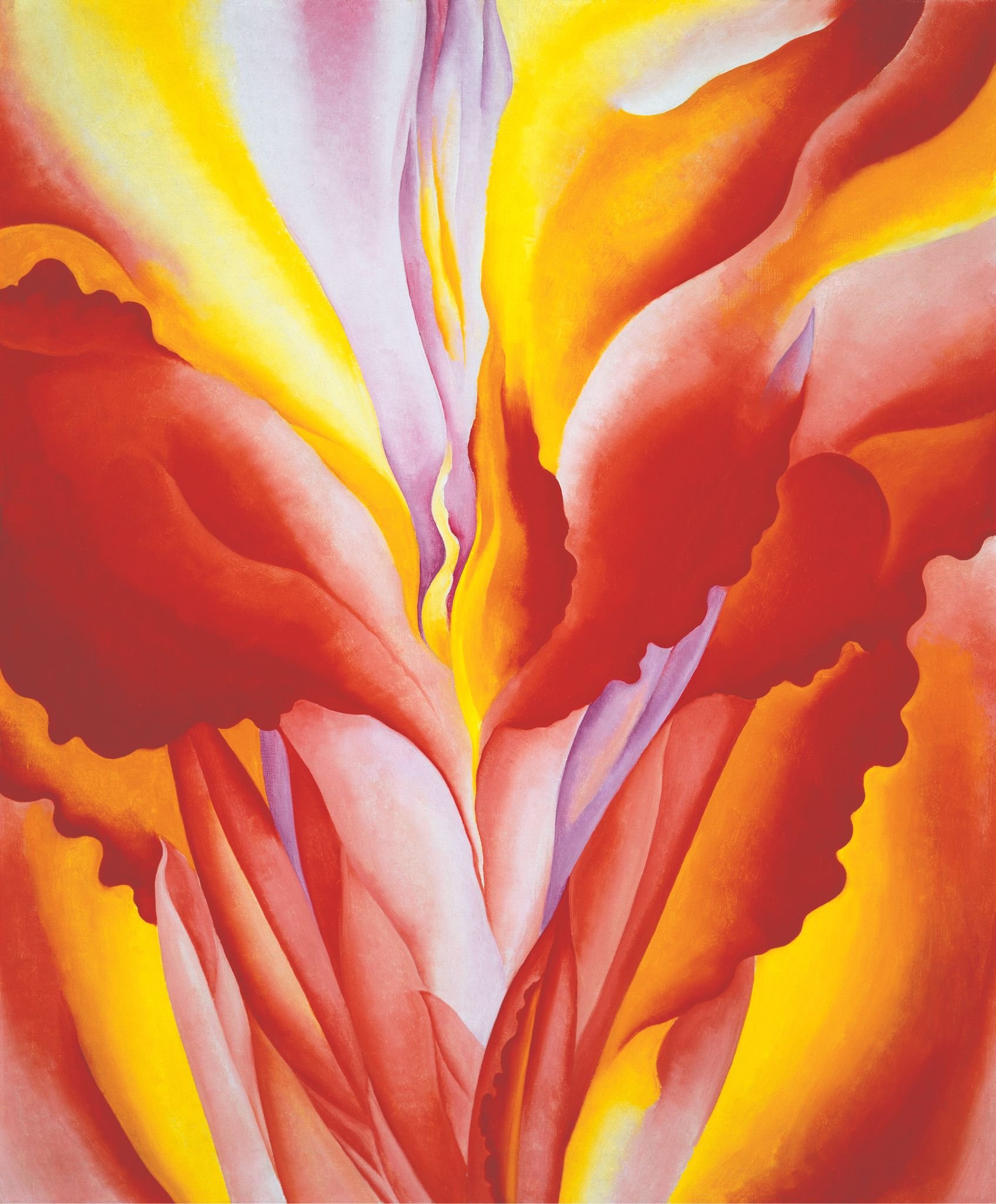 okeeffe_CR513_red-canna_866540.jpg