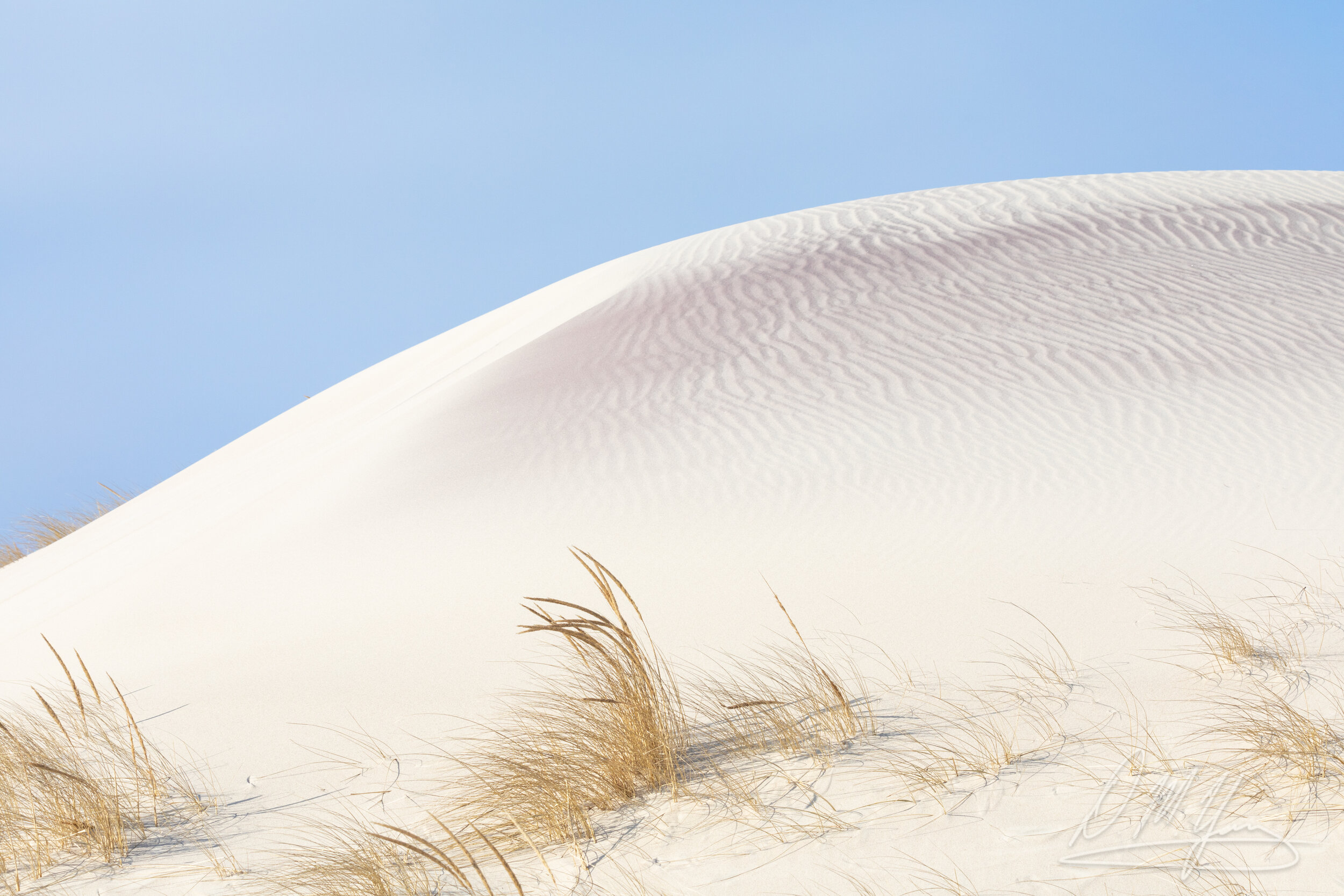 Sand Dune, Crane Beach, Ipswich, MA
