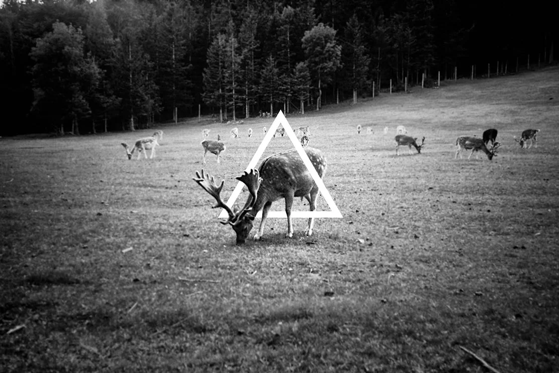 Andreas Ni Dark Side of the Moon Physical Print