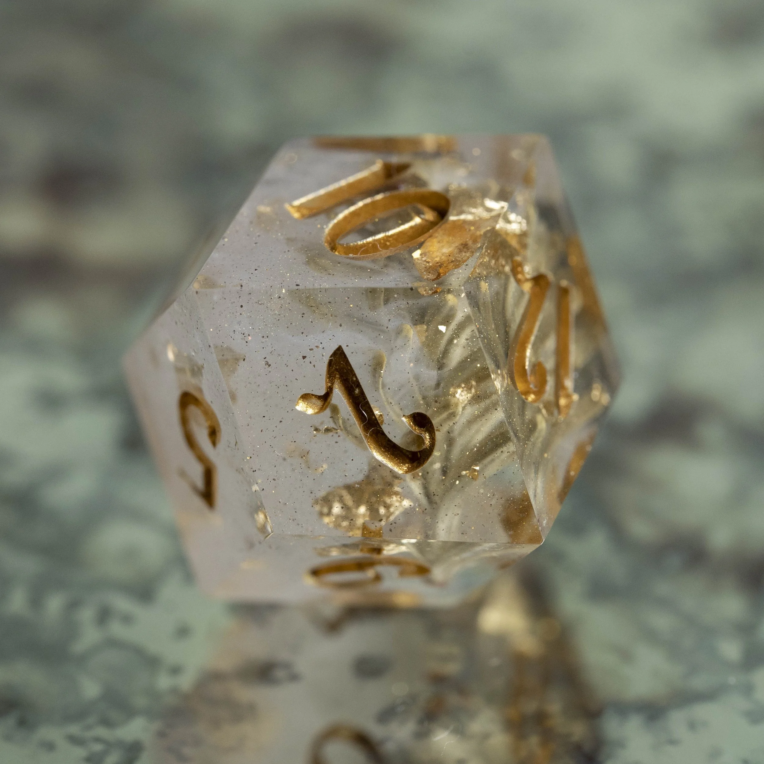 set-fog in the pinede-5.jpg