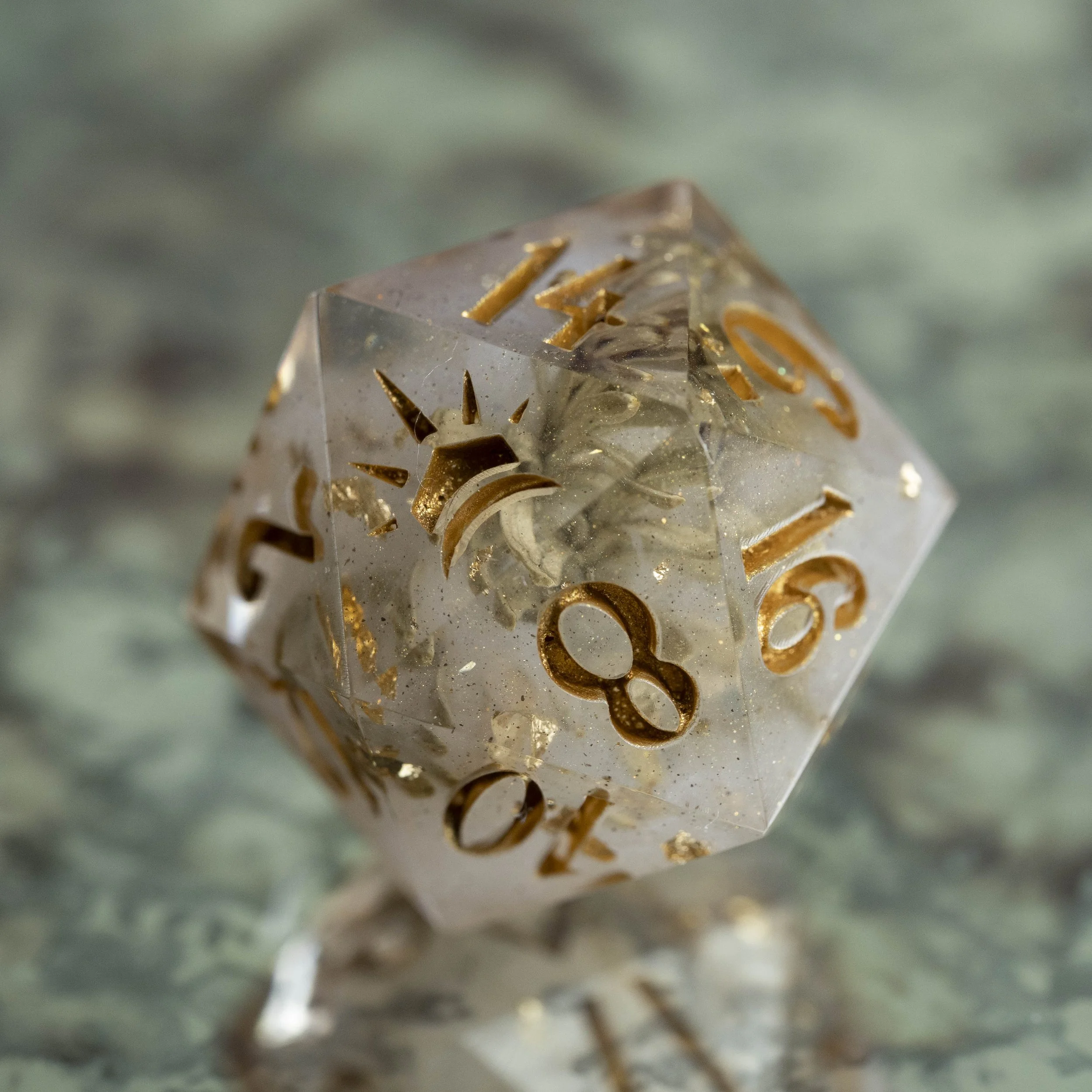 set-fog in the pinede-1.jpg