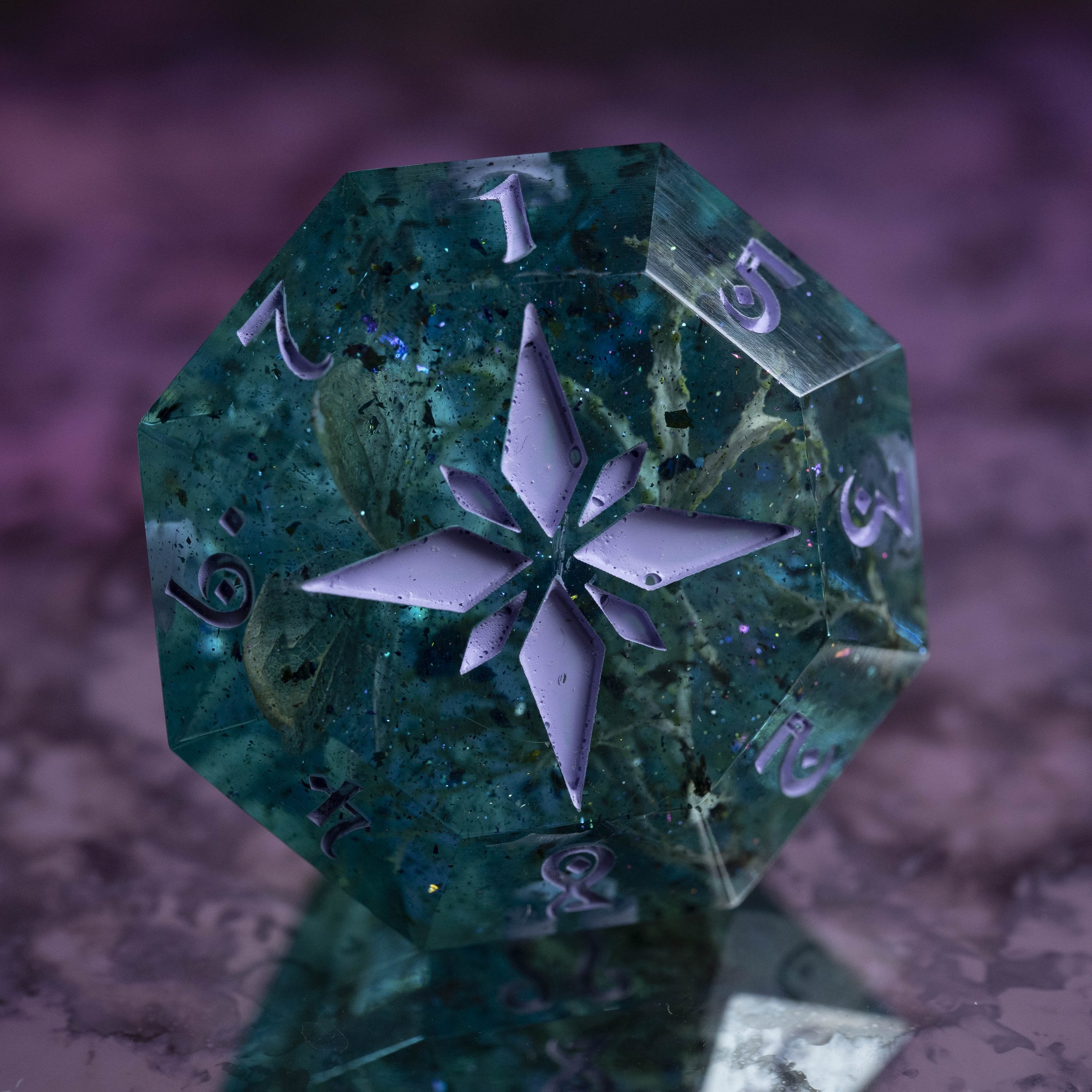 Algues D8 Gros Diam's