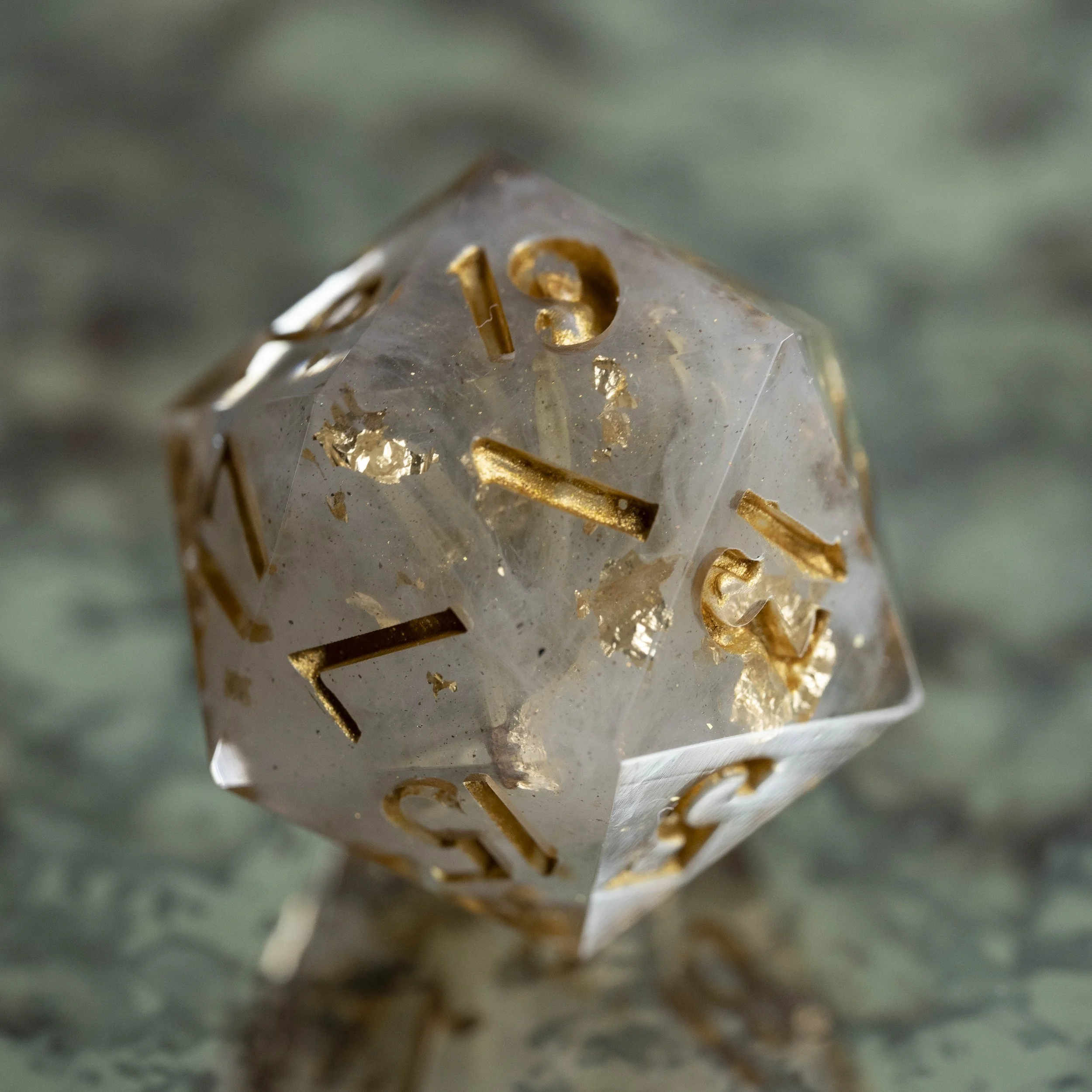 set-fog in the pinede-2.jpg