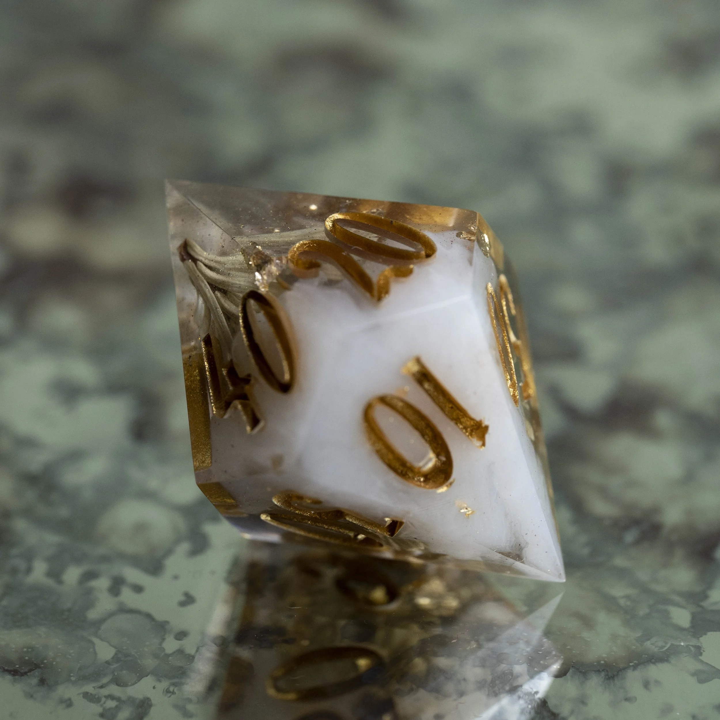 set-fog in the pinede-7.jpg