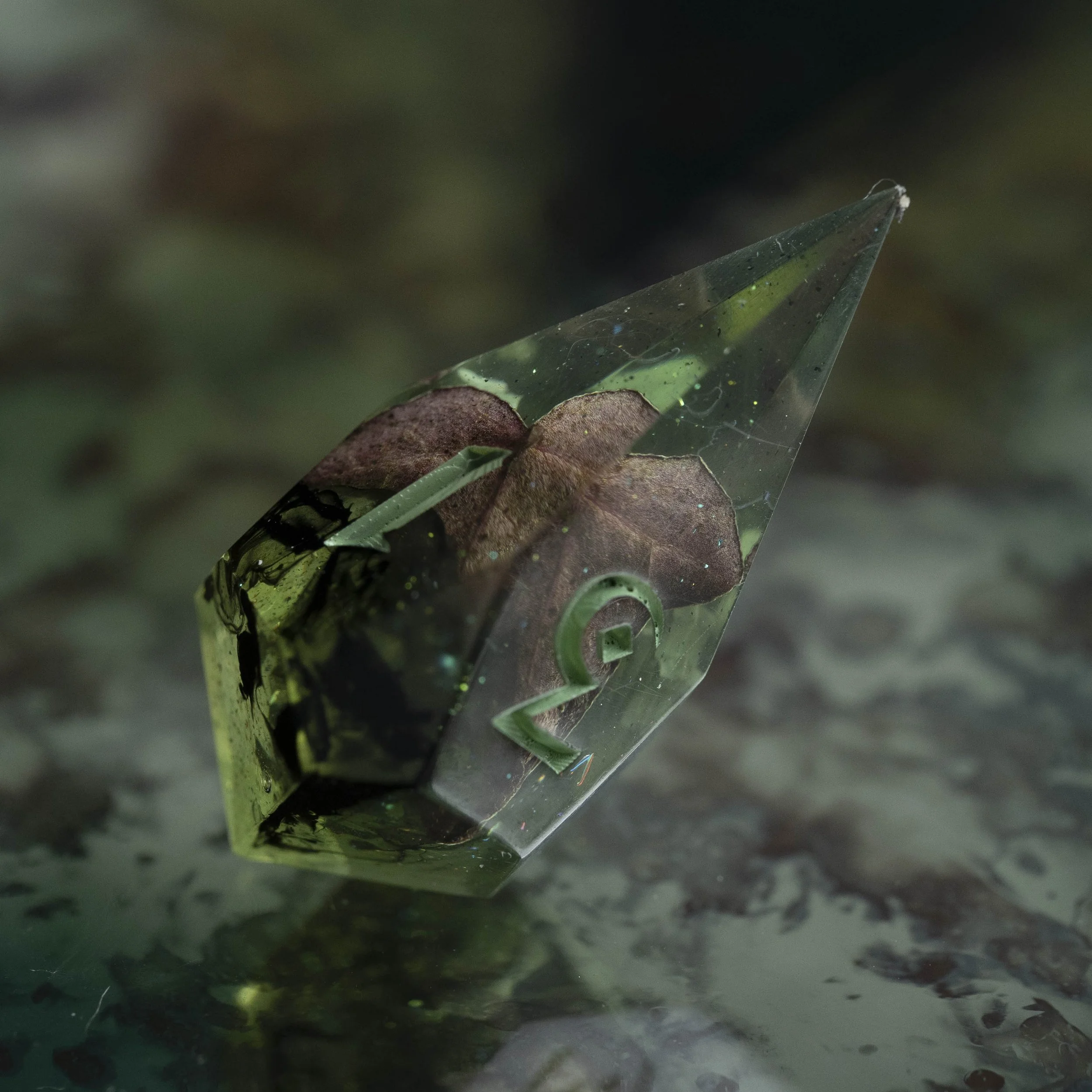 set lierre empoisonné-18.jpg