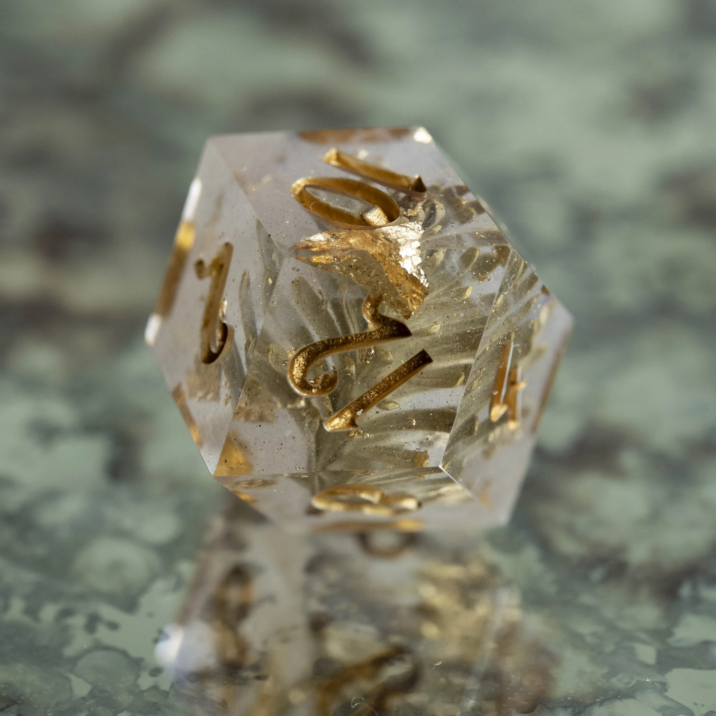 set-fog in the pinede-4.jpg