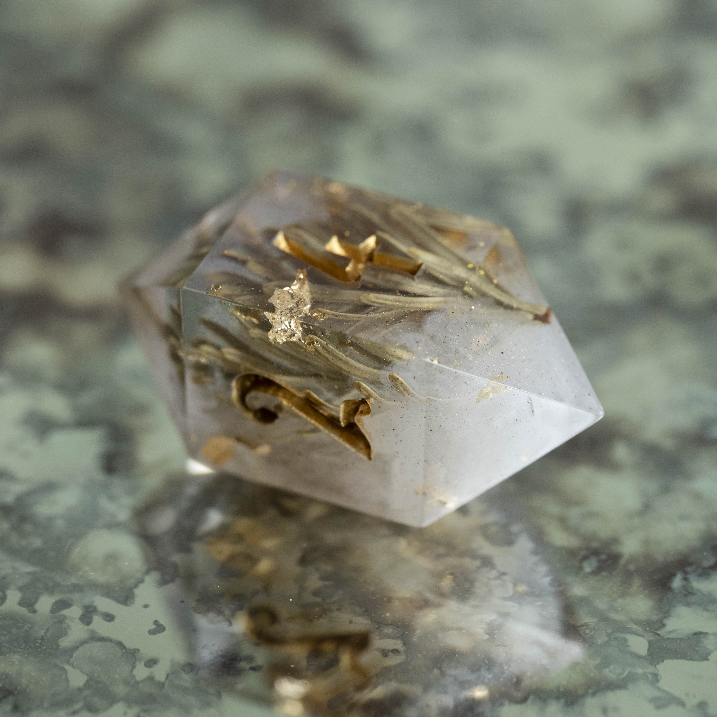 set-fog in the pinede-11.jpg