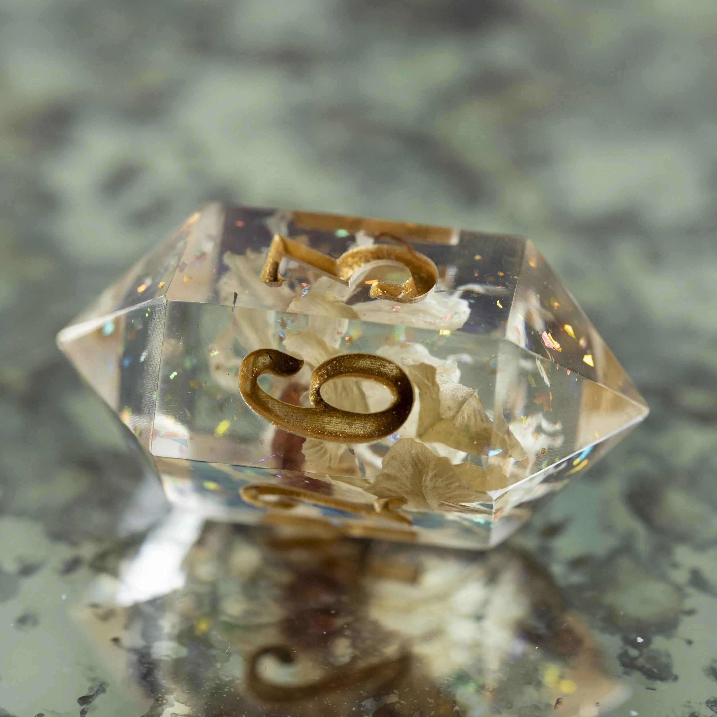 summer flower d6-2.jpg