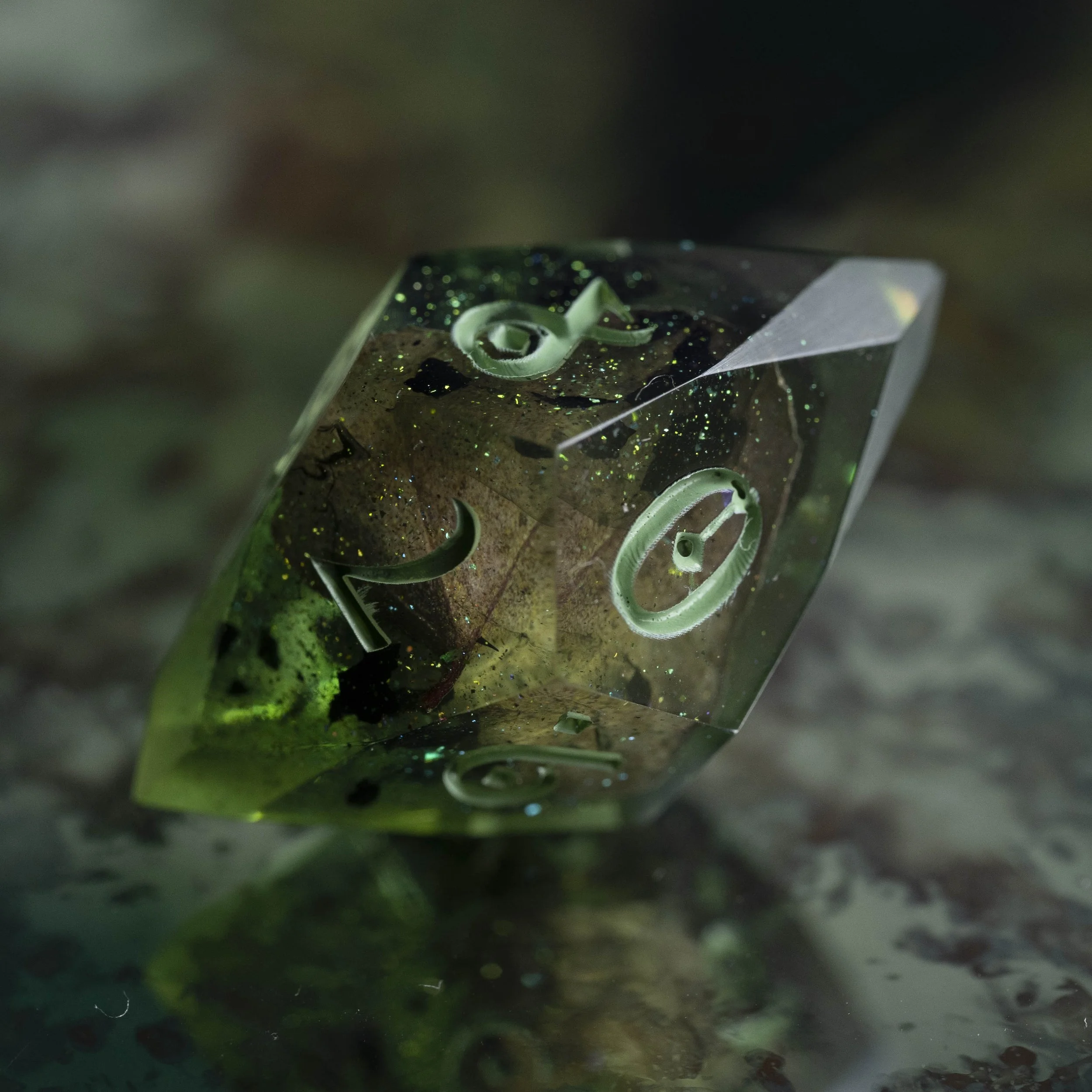 set lierre empoisonné-9.jpg