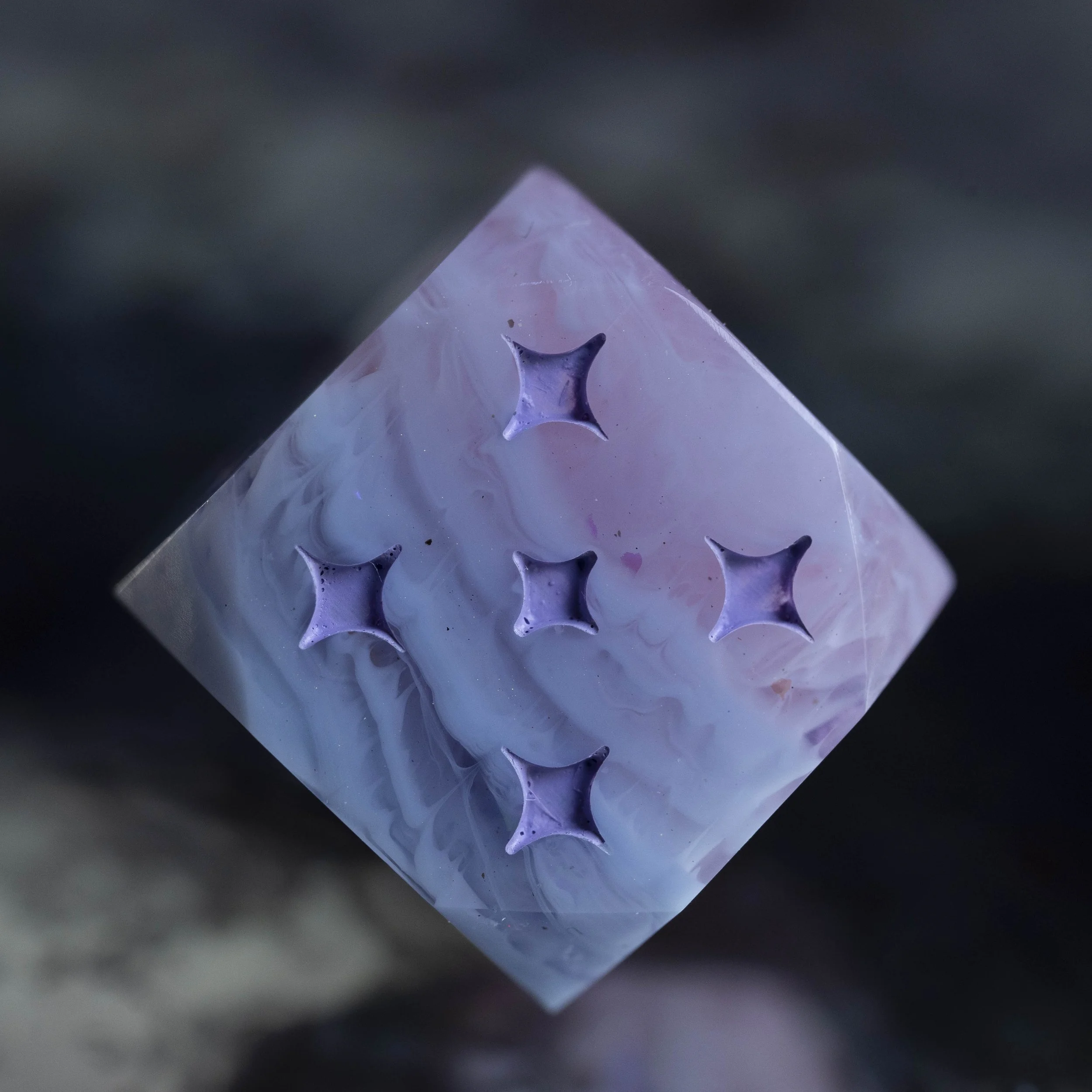 d6-cotton candy-7.jpg