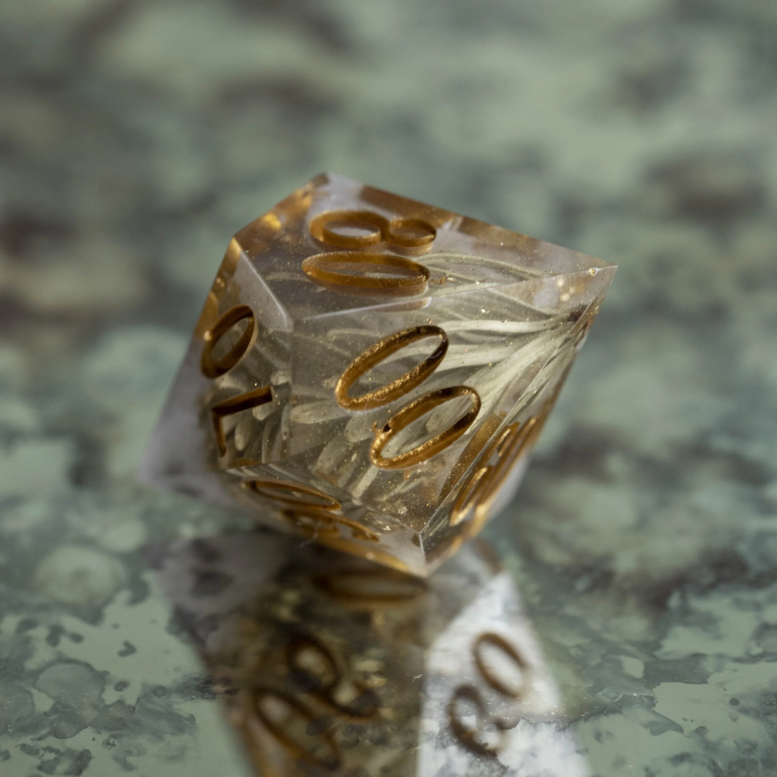 set-fog in the pinede-6.jpg