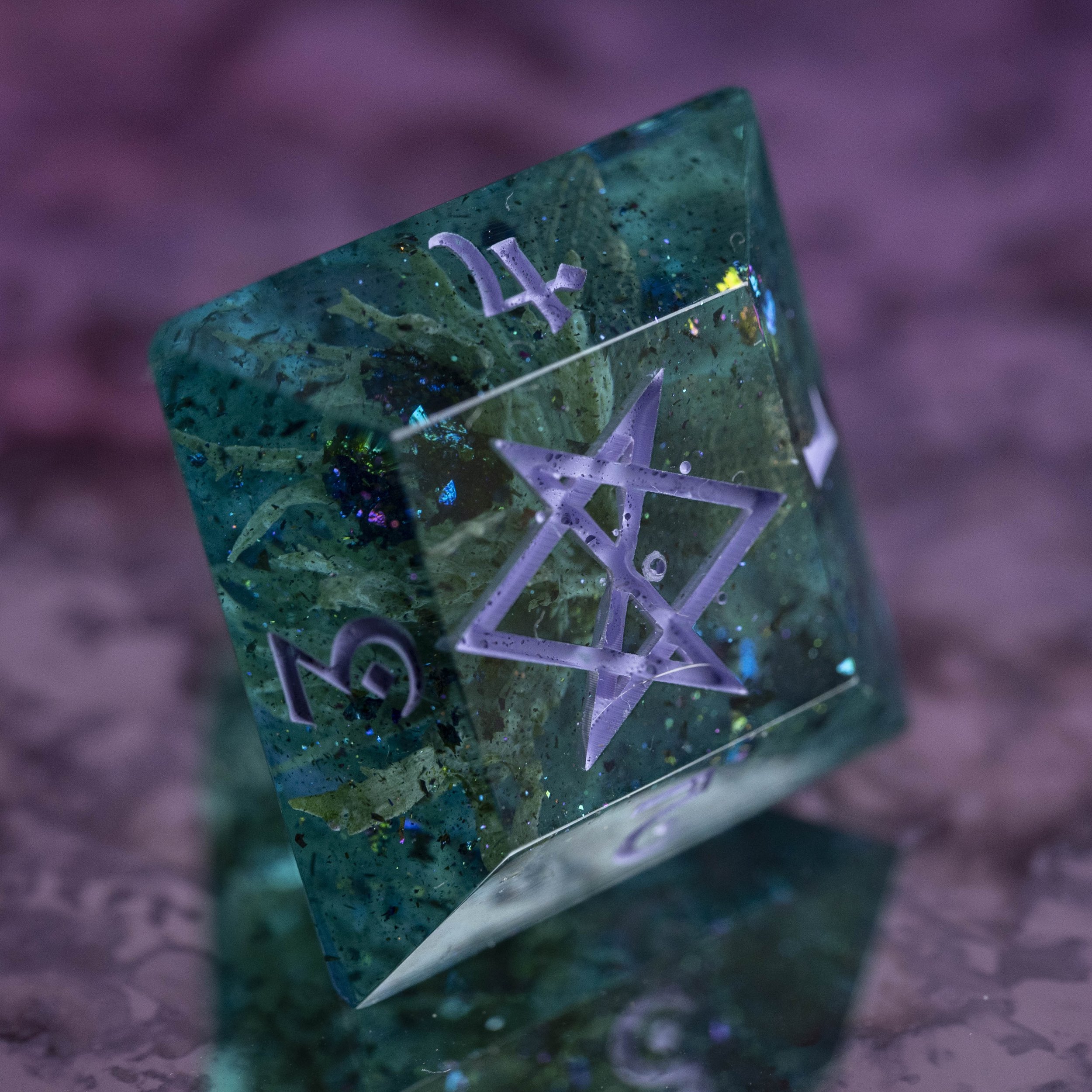 Algues D4 Gros Diam's