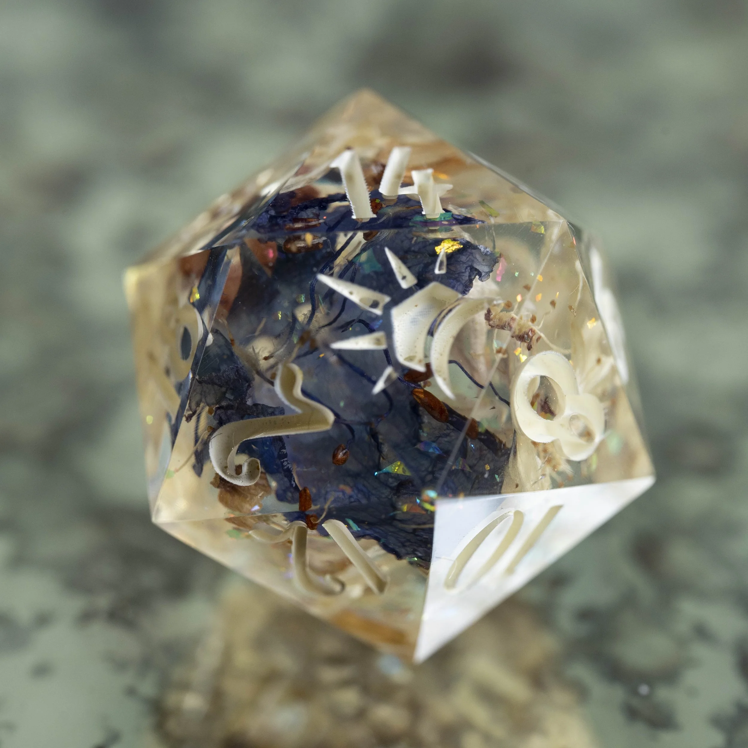 summer flower d20-2.jpg