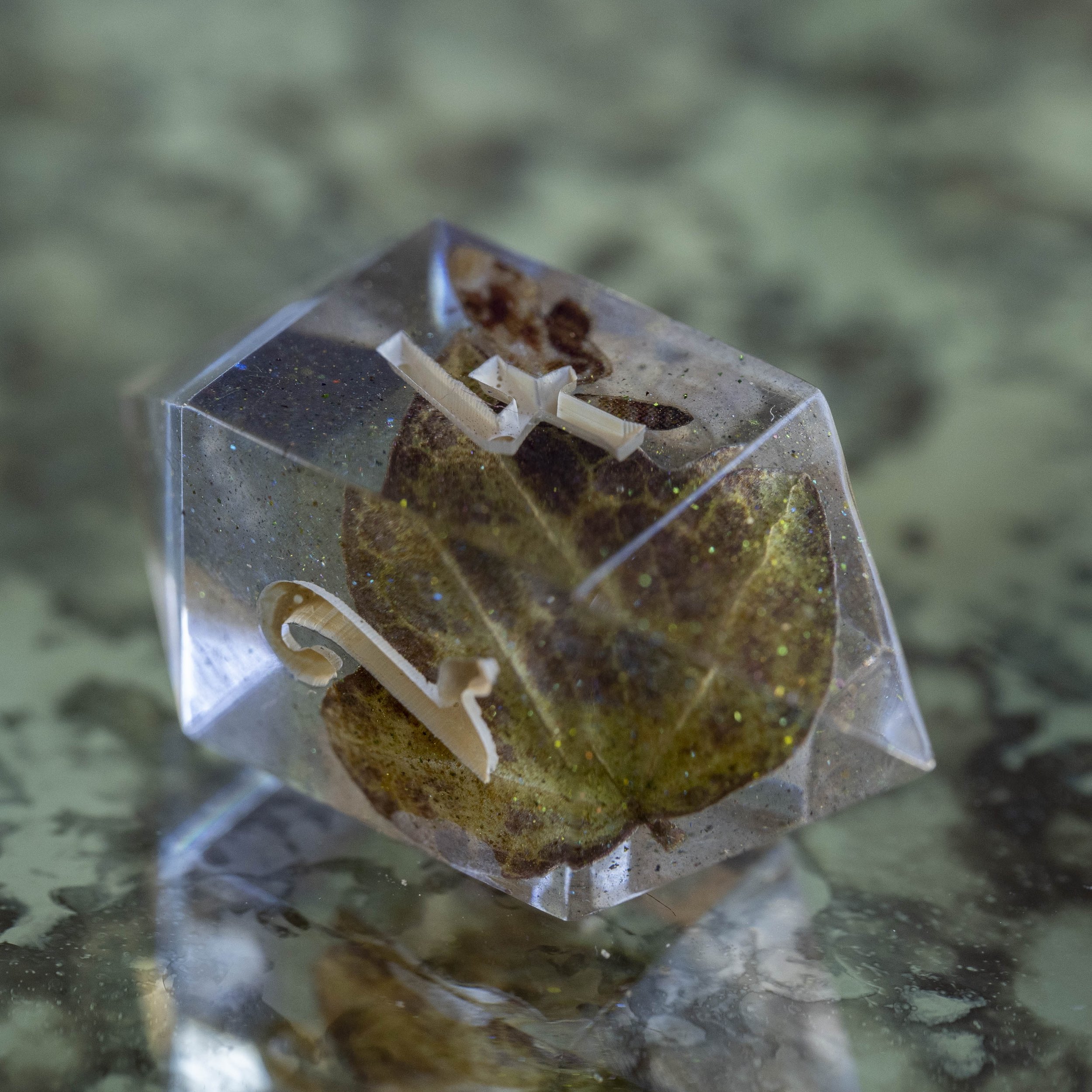 humus mystique-15.jpg