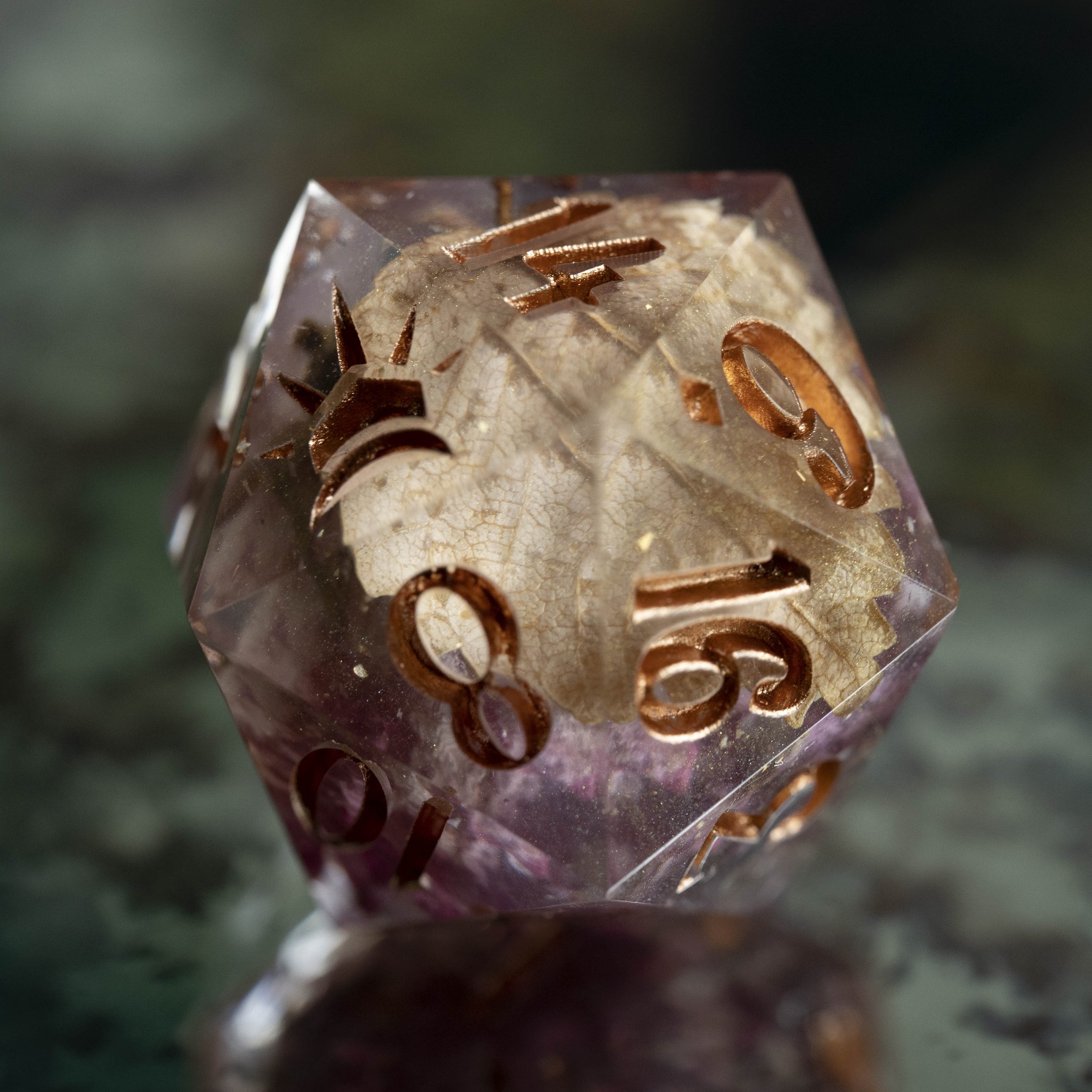 Rosier d'Automne D20 Classique