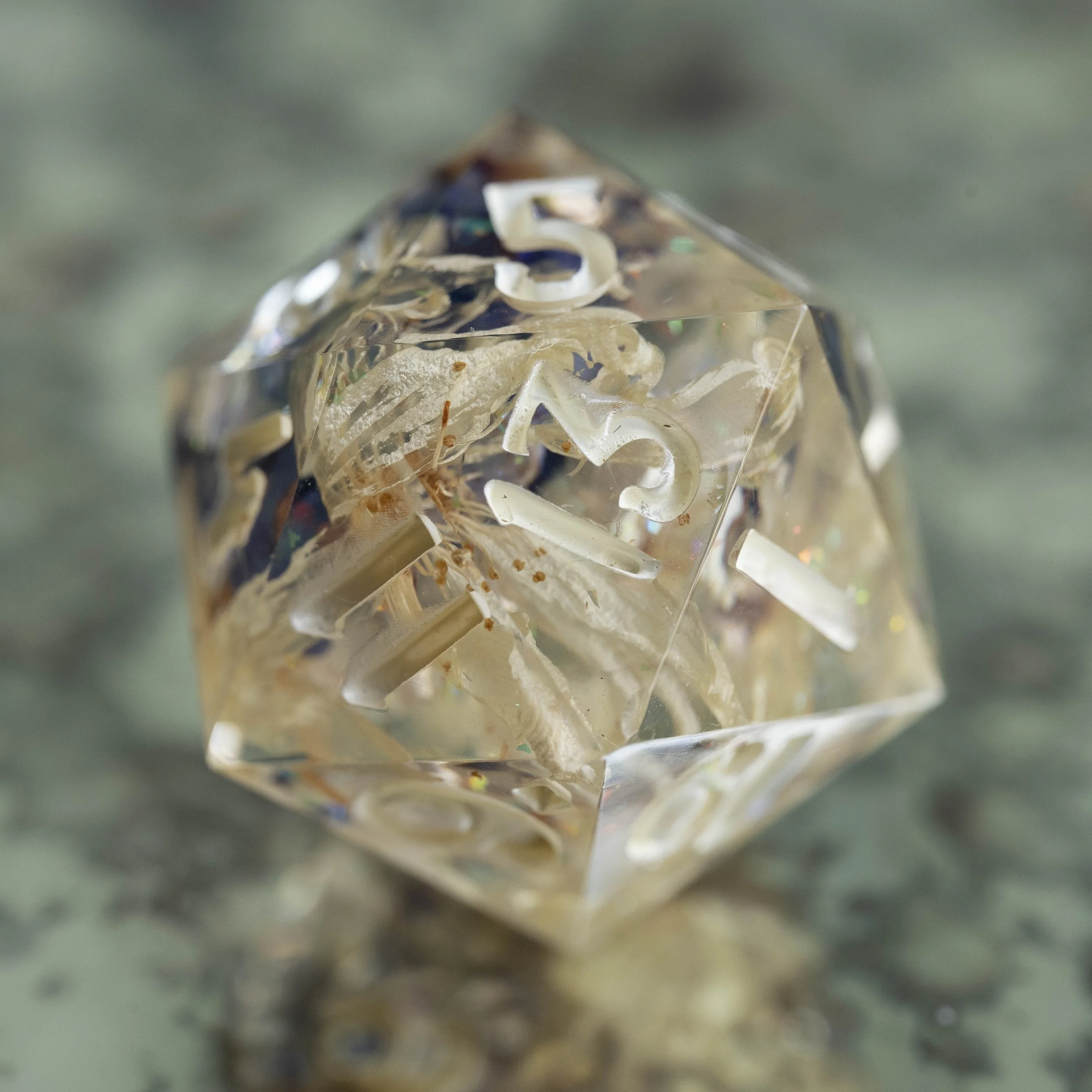 summer flower d20-1.jpg