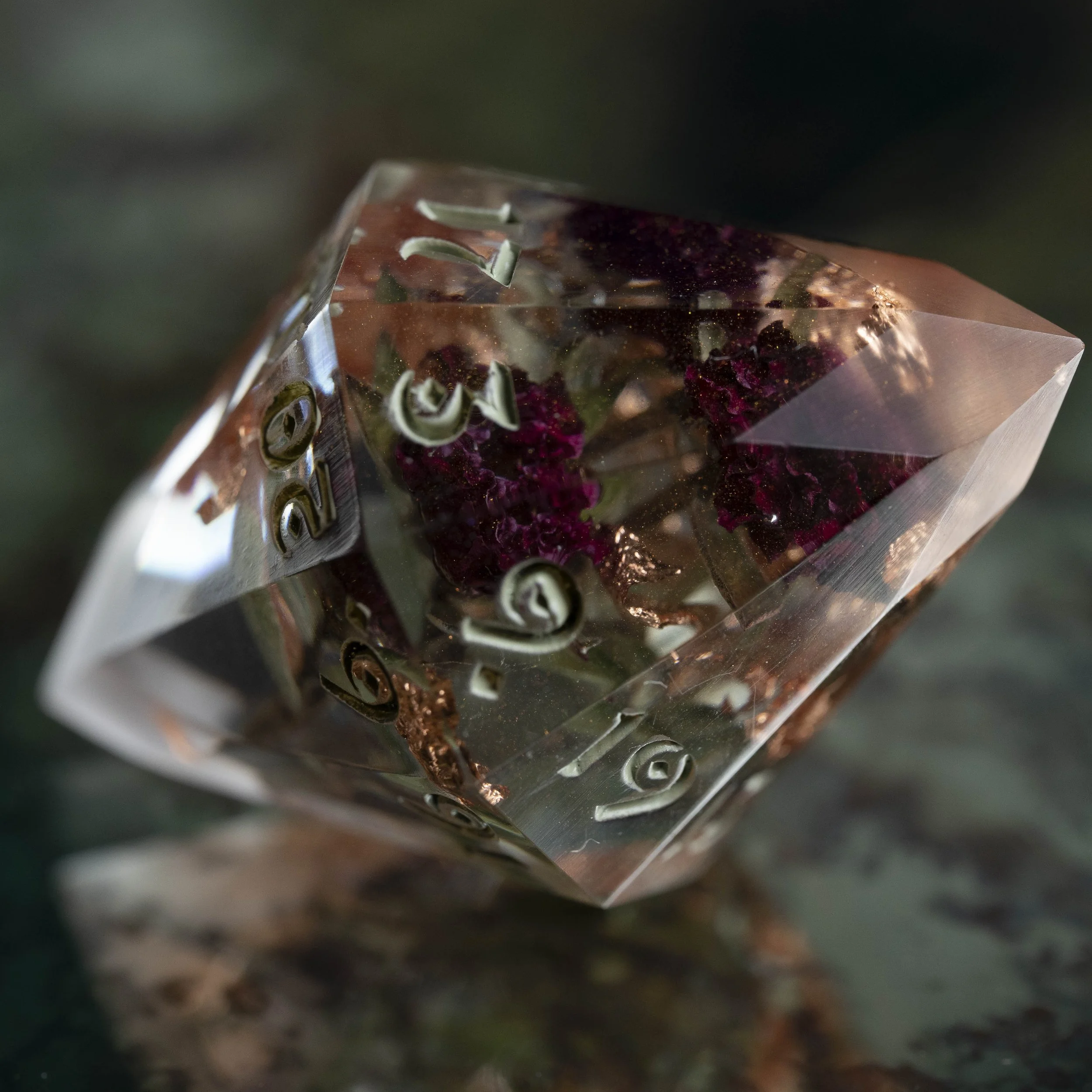 set fleur d'hiver-1.jpg