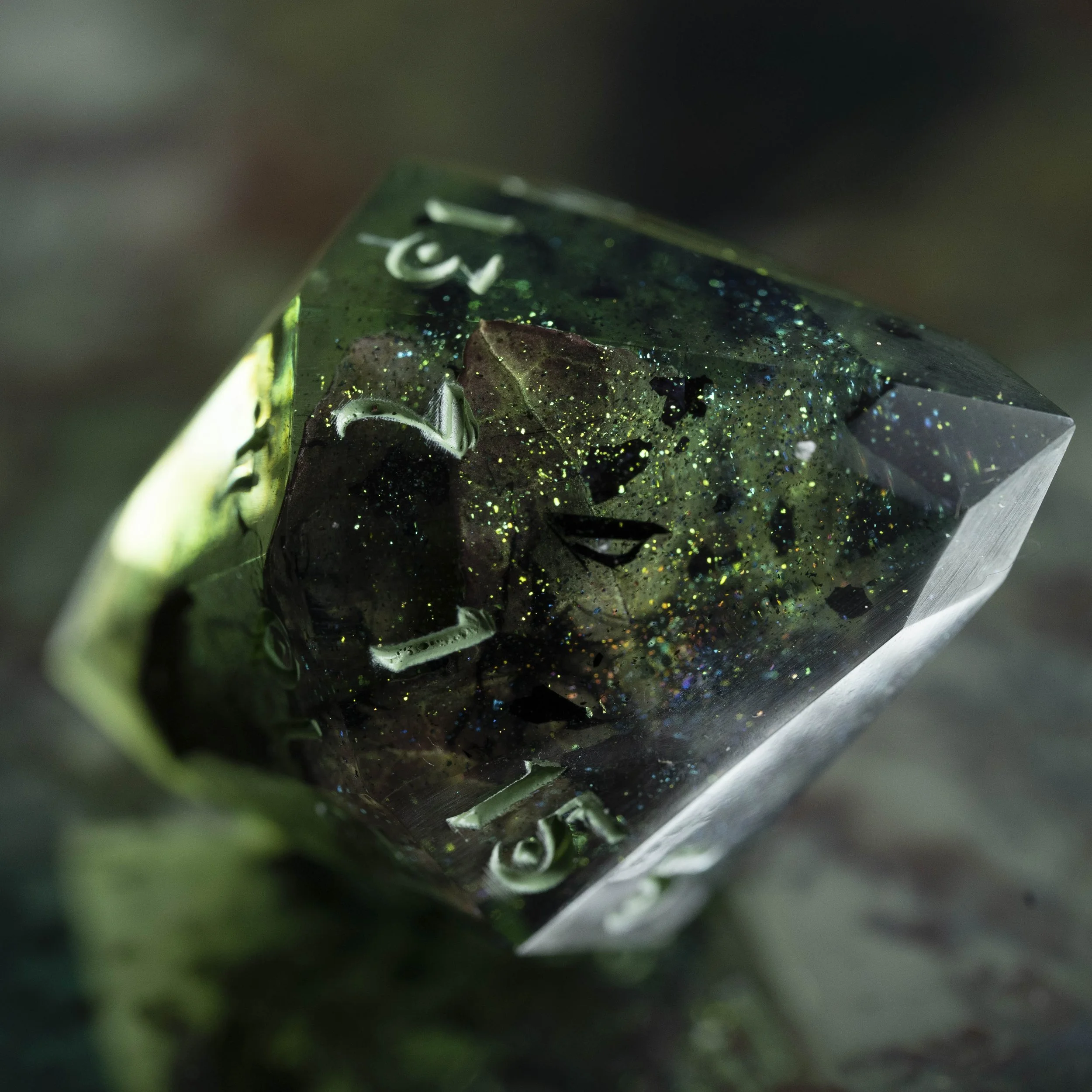 set lierre empoisonné-2.jpg