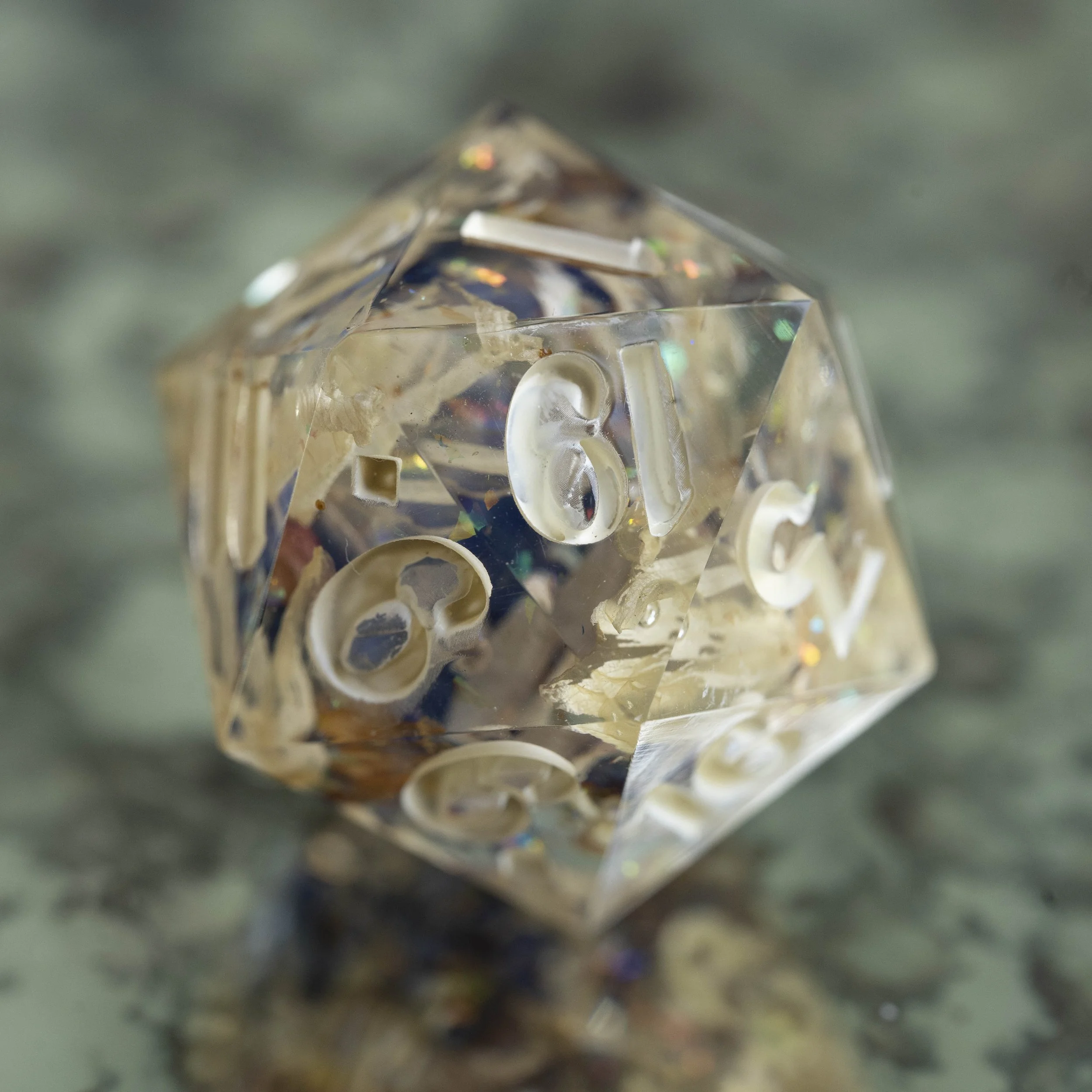 summer flower d20-4.jpg