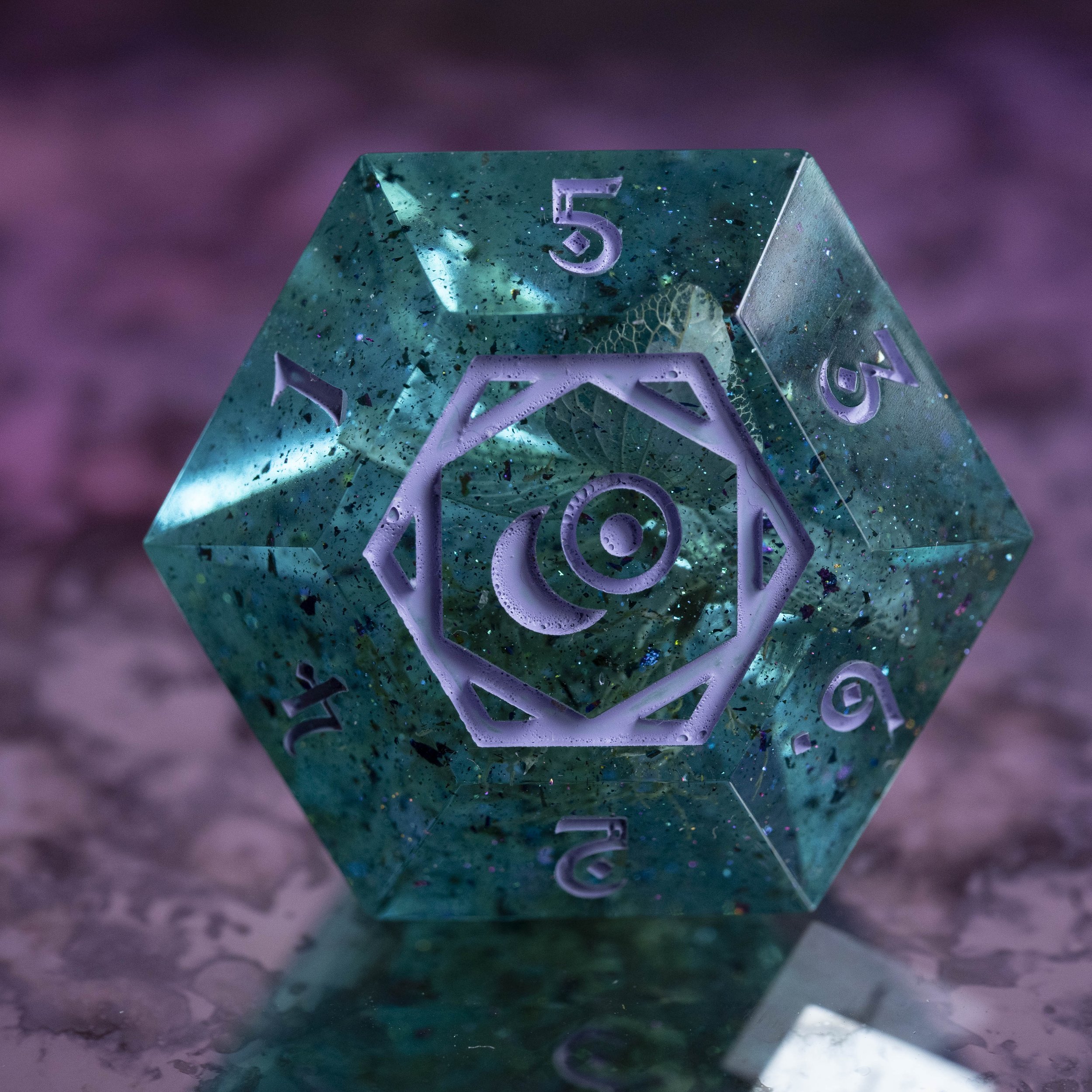 Algues D6 Gros Diam's