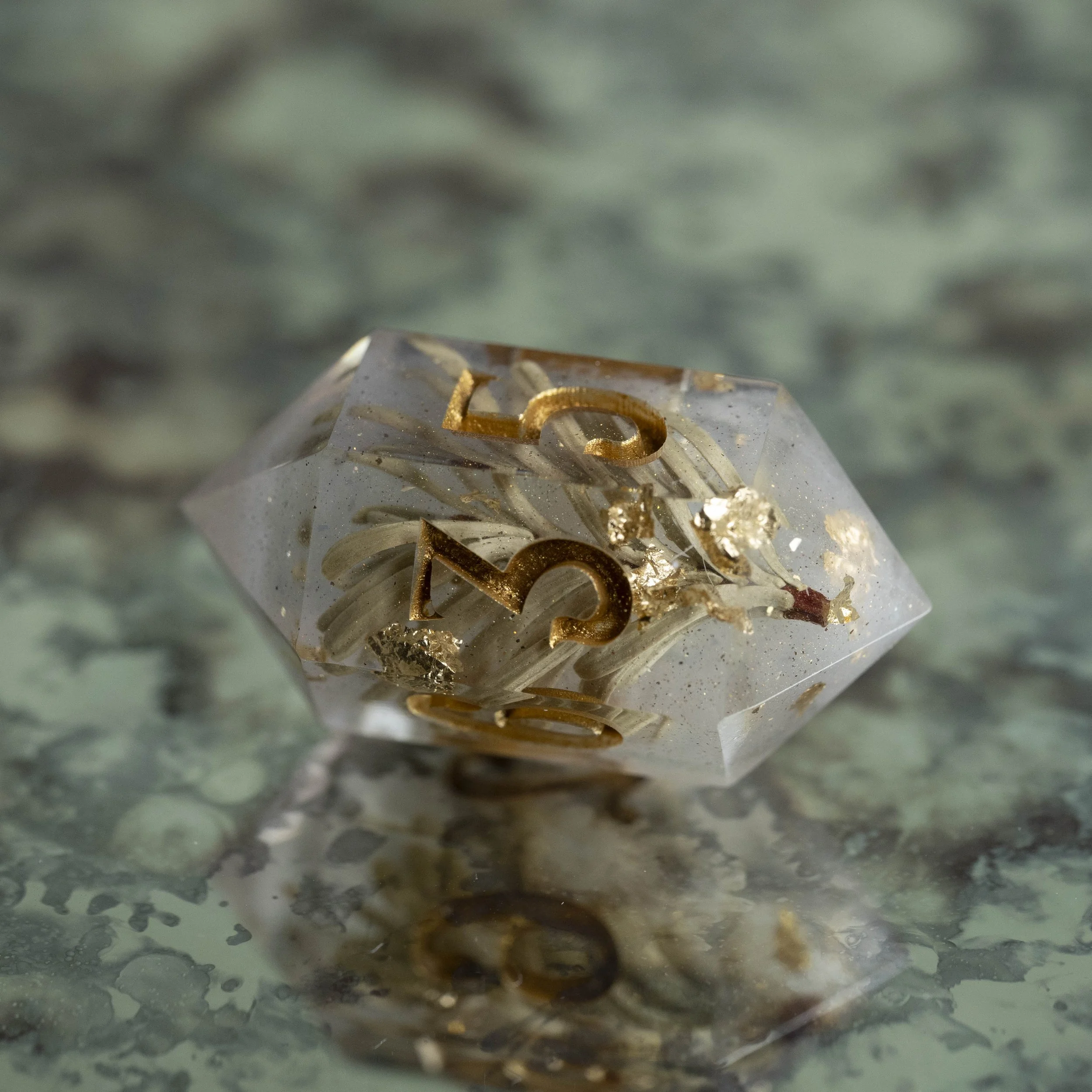 set-fog in the pinede-10.jpg