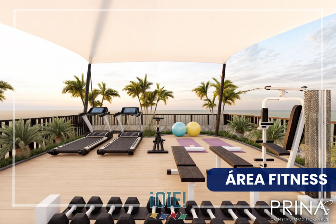 OIE-Avanti-project-social-gym.png