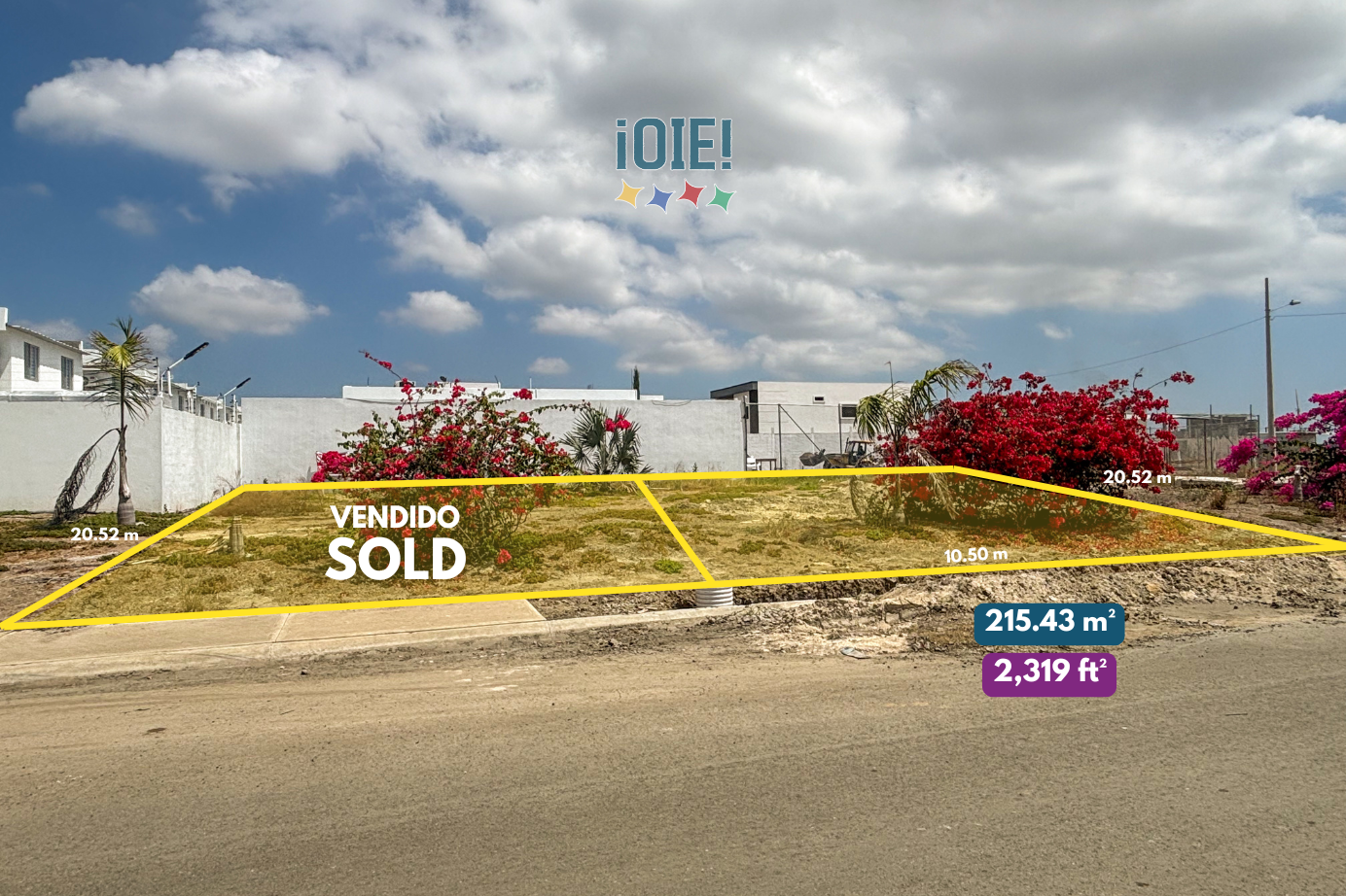 FOTOS OIE  (2).png
