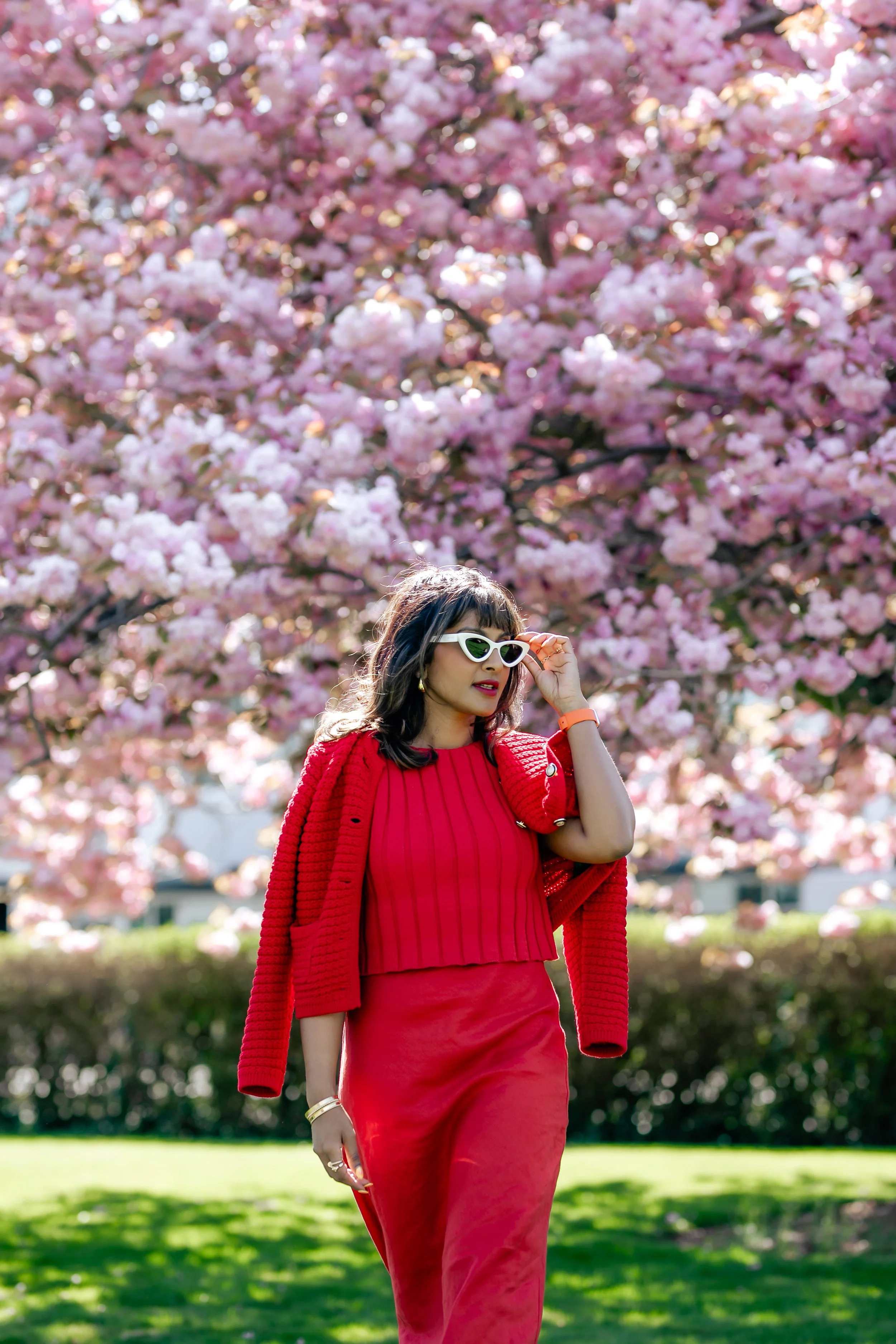 Cherry Blossoms in Victoria BC: Instagrammable Locations