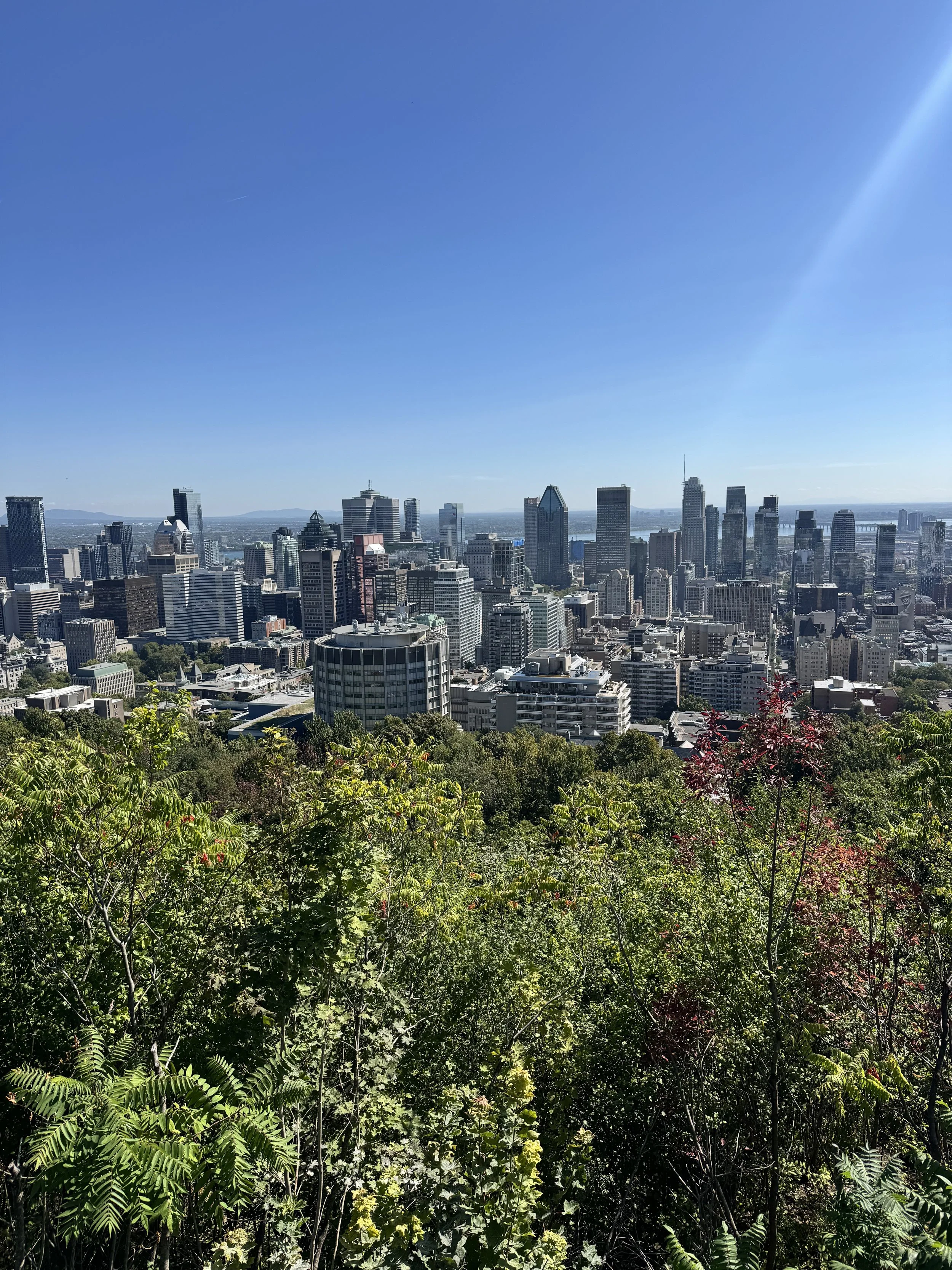 IMG_3759.jpeg