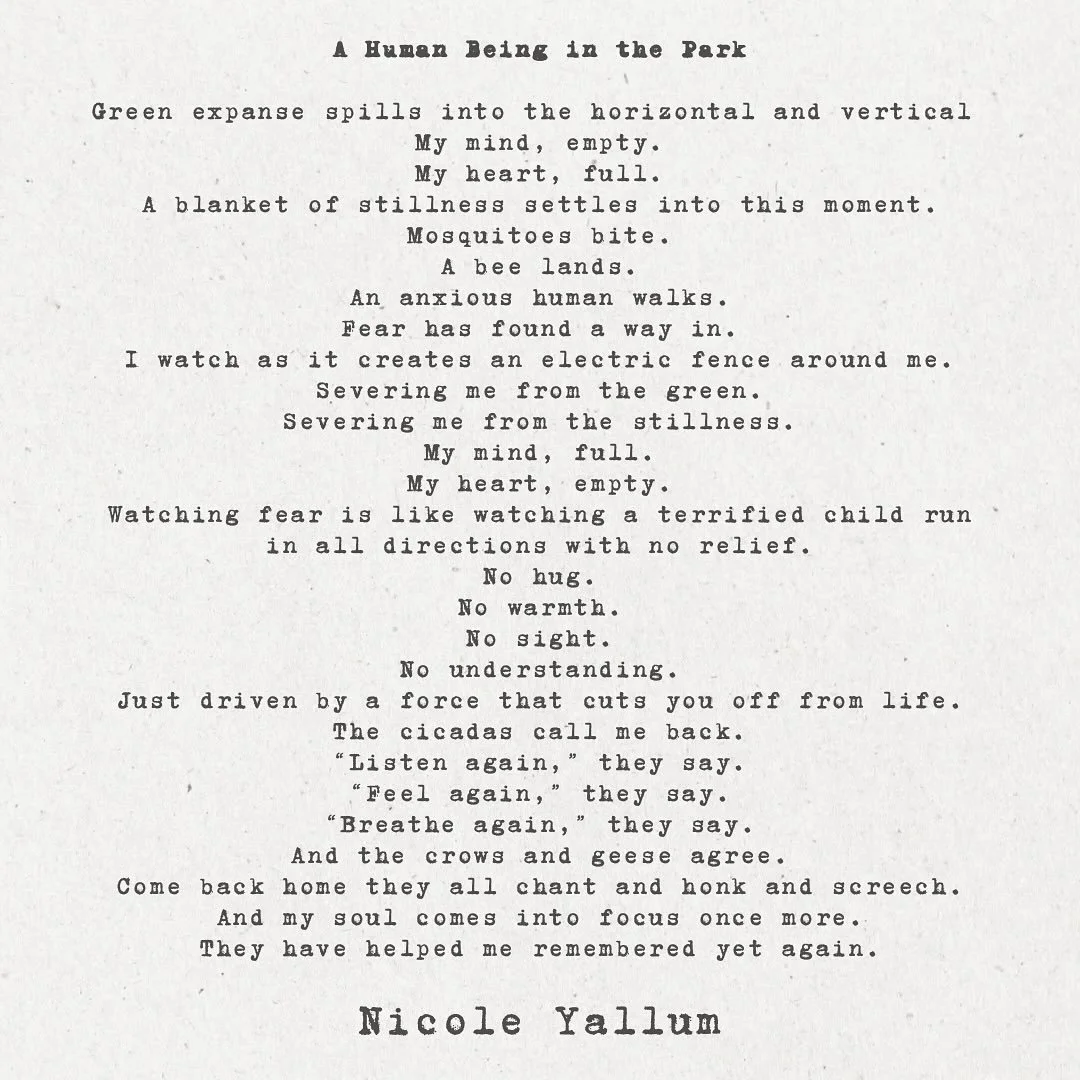 &ldquo;A Human Being in the Park&rdquo;
Written July 8th, 2025
Words to serve breaking the trance and taking up a soul stance. 🌹