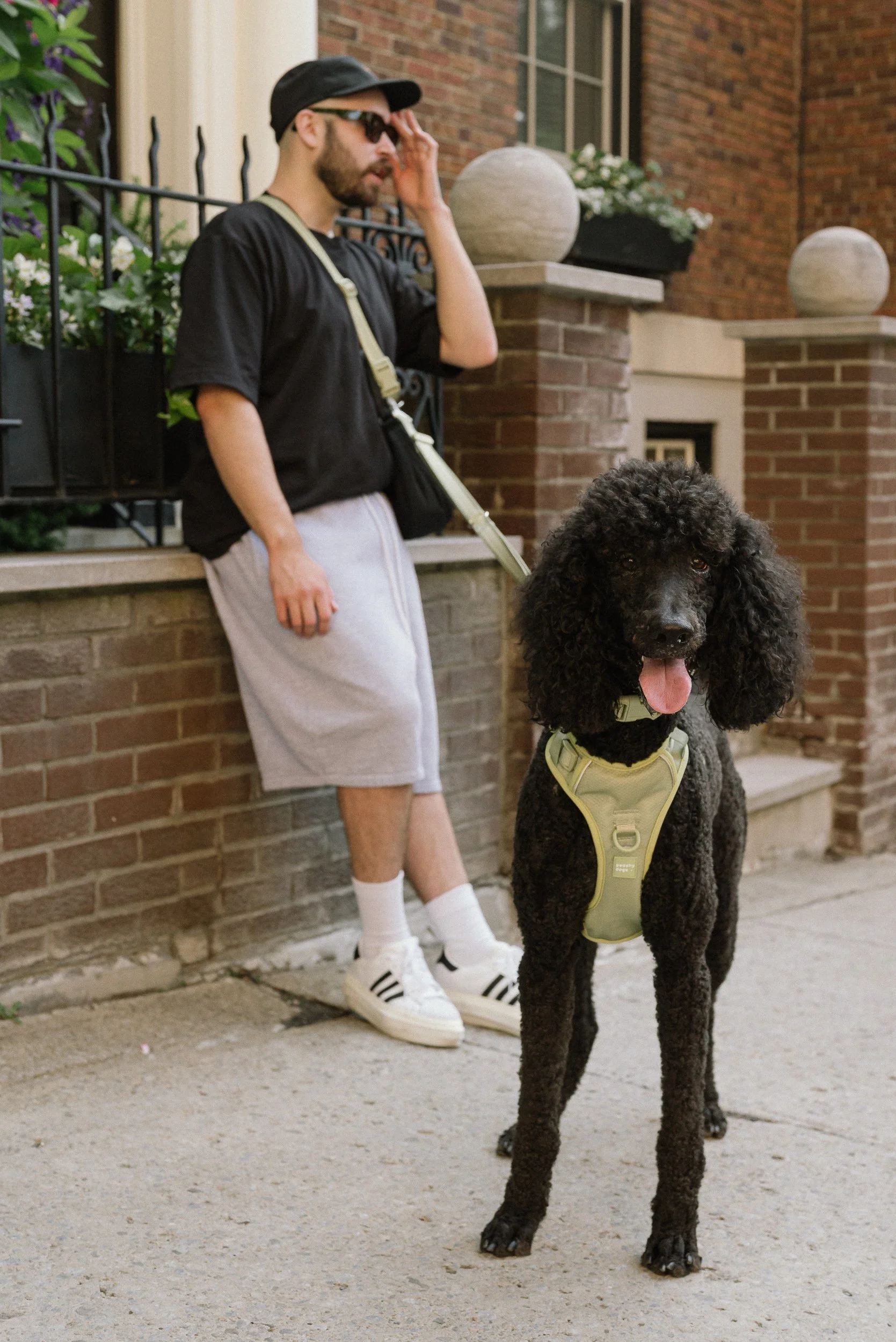 0620 Peachy Dogs-7.jpg