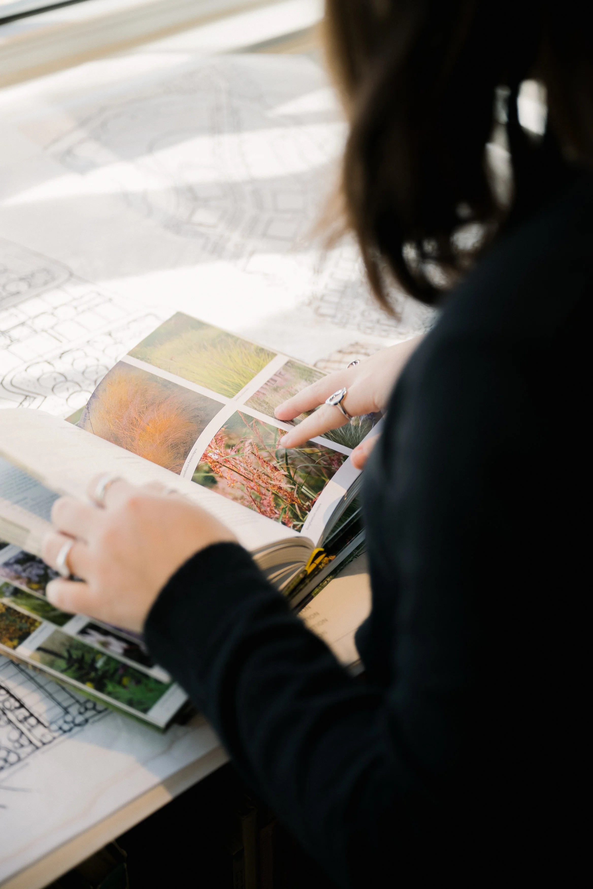 0312 Projet Paysage-443-Edit.jpg