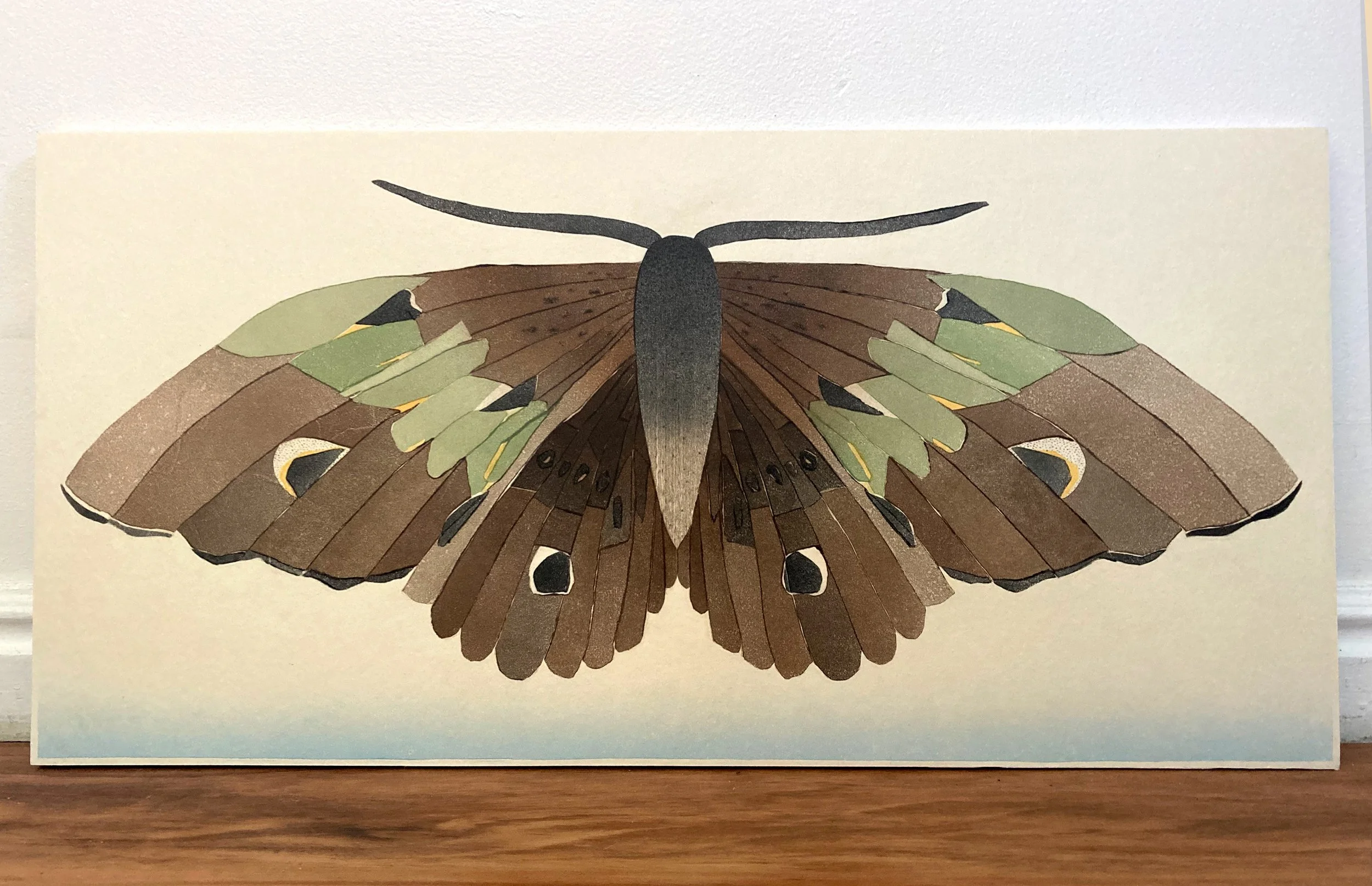 "Moth"
25 x 12.5 monotype on okawara paper
waxed and mounted on wood panel