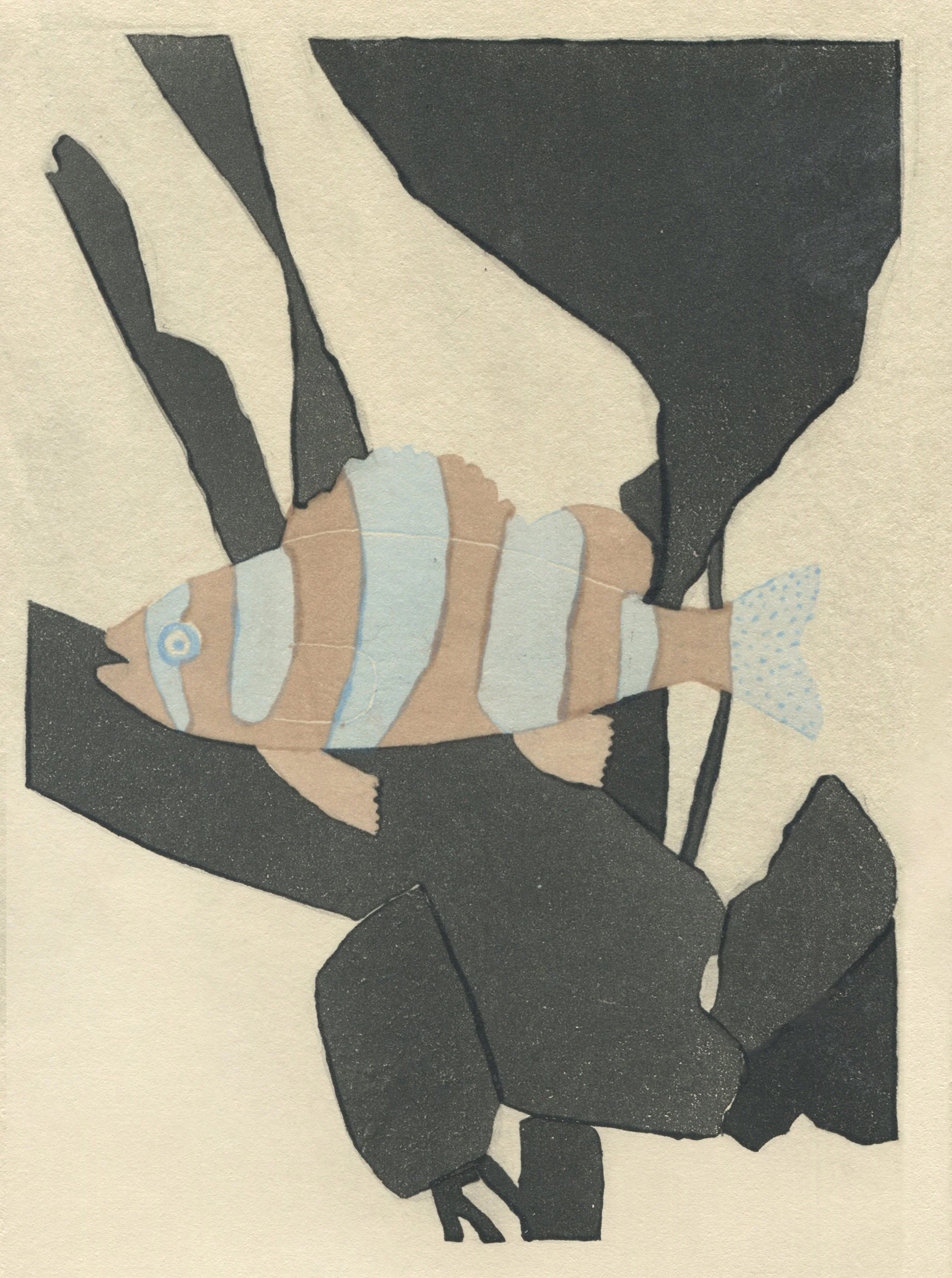 4_Aquatic4.jpg