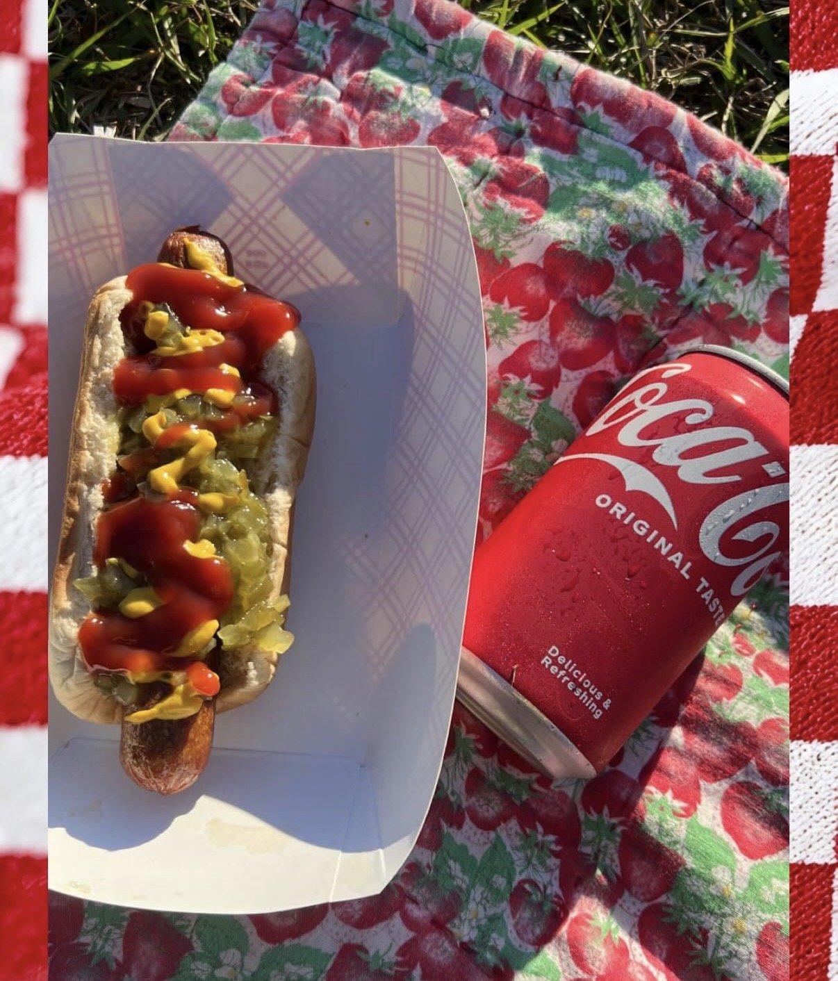 hot dog n coke in the grass.jpg